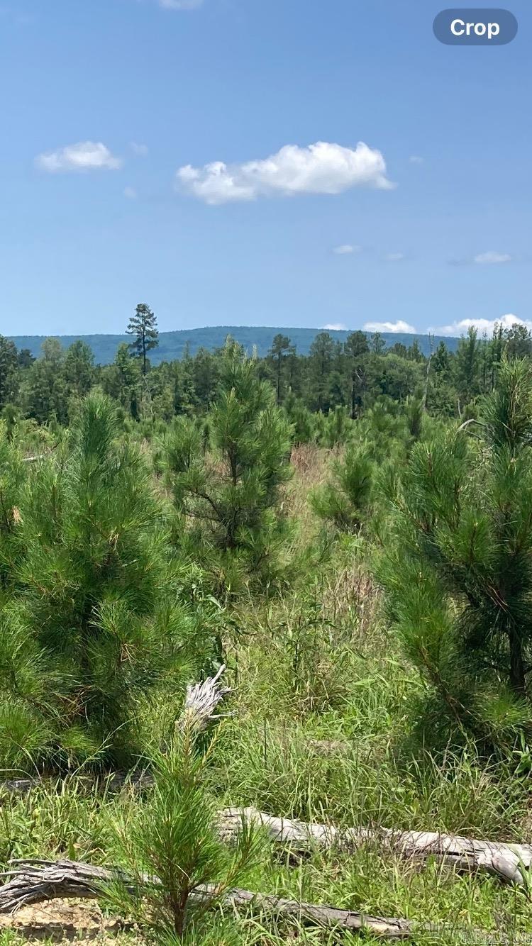 1401 BLOCK OF Beaudry  Jessieville, AR