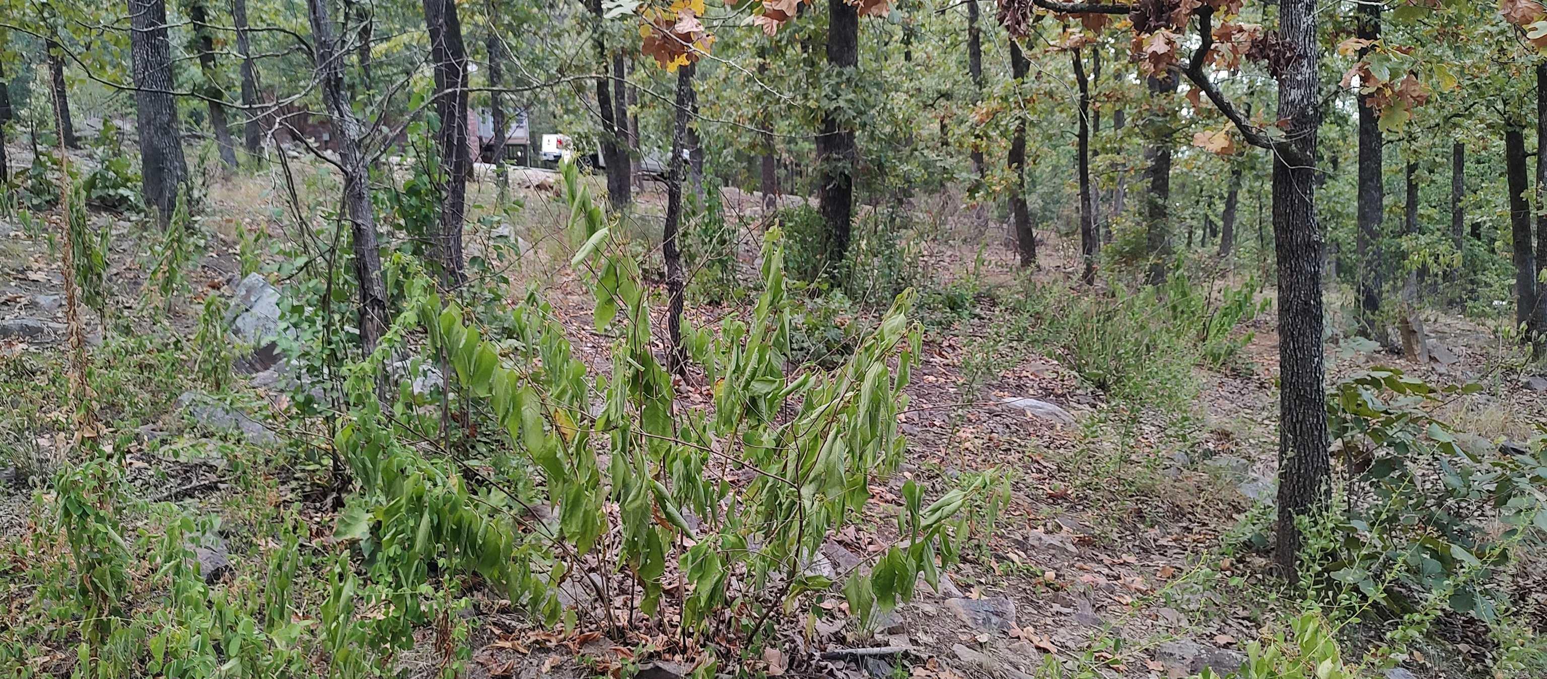 20524 River View Dr.  Roland, AR