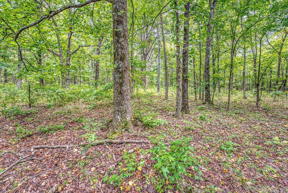 396 August Farm  Leslie, AR