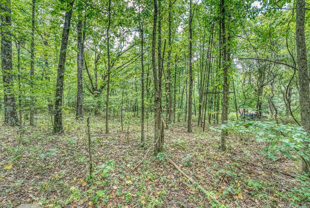 396 August Farm  Leslie, AR