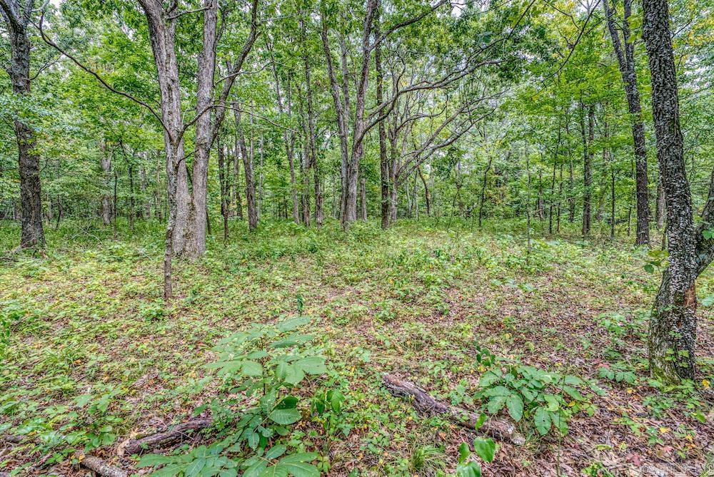 396 August Farm  Leslie, AR