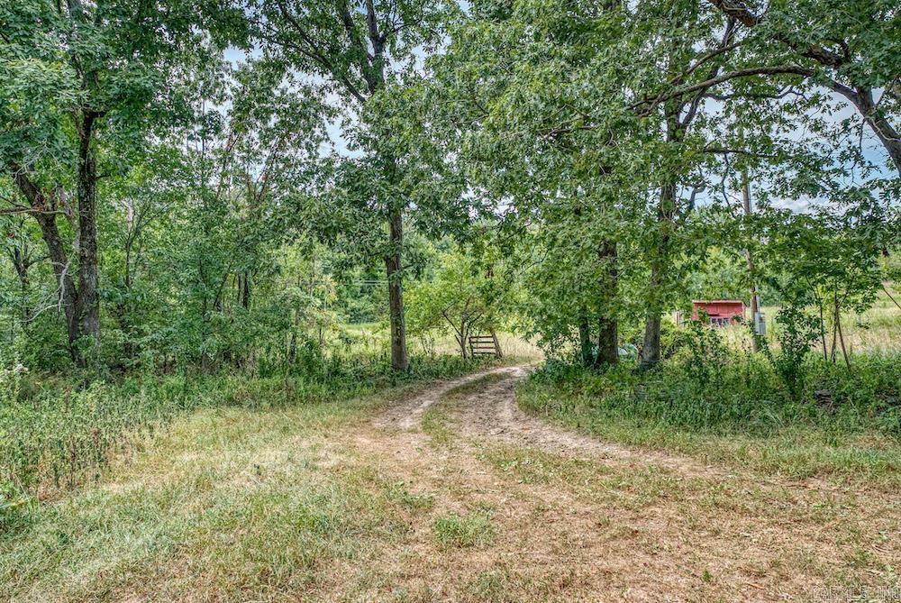 396 August Farm  Leslie, AR