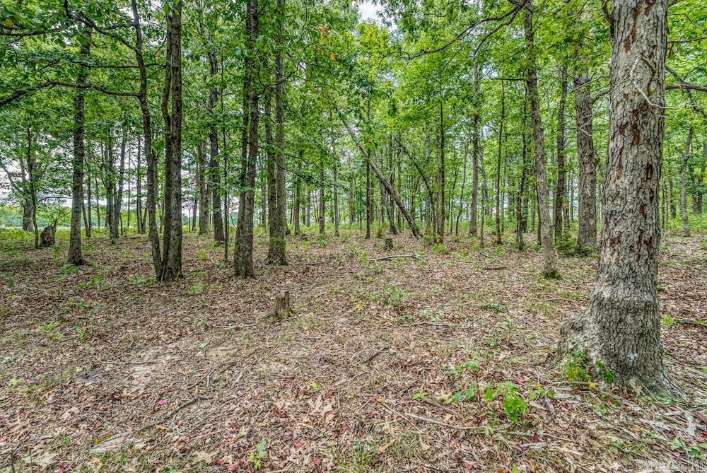 396 August Farm  Leslie, AR