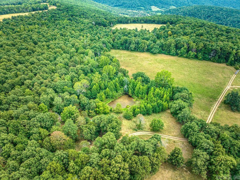 396 August Farm  Leslie, AR