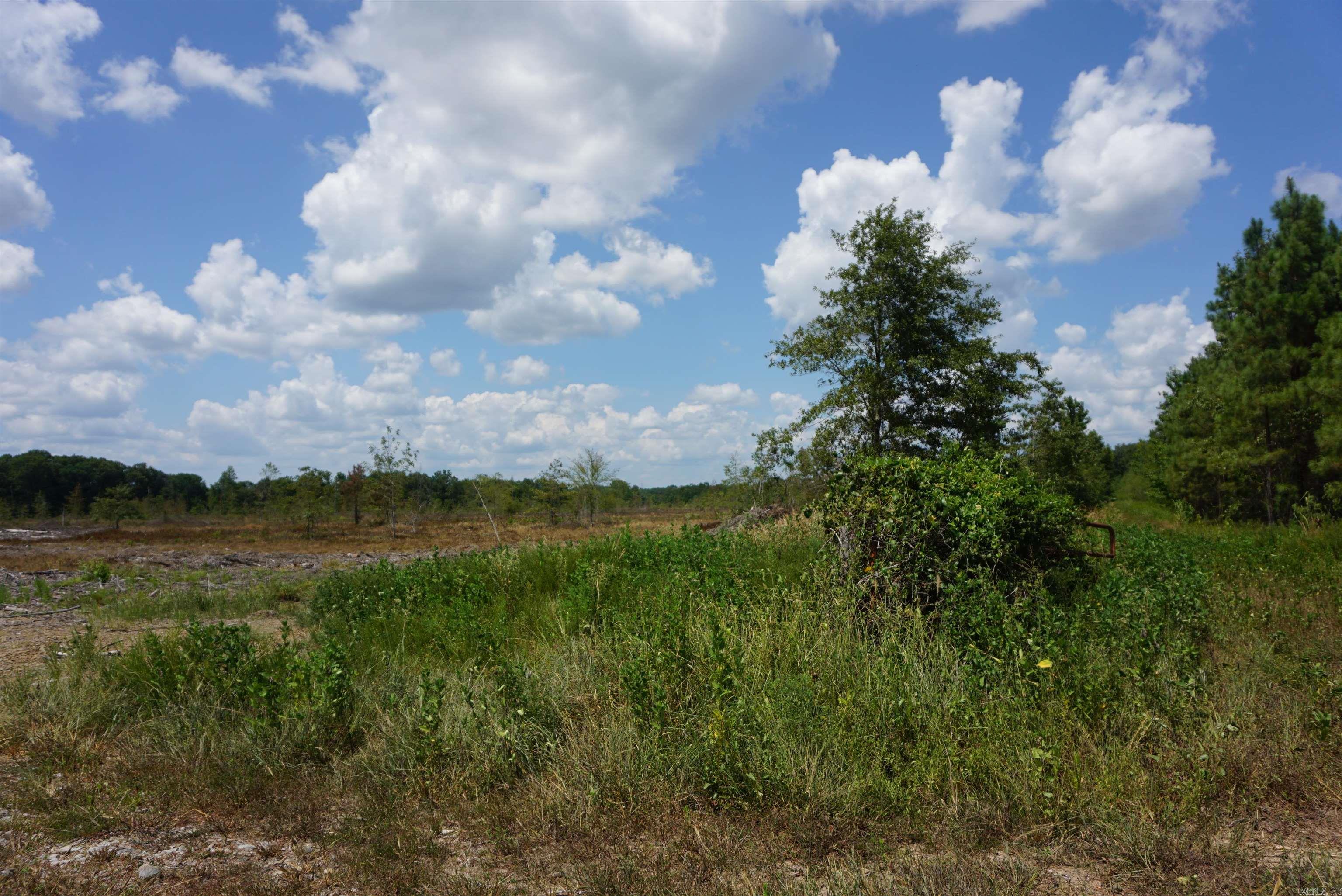 000 Stokes Rd  Bald Knob, AR