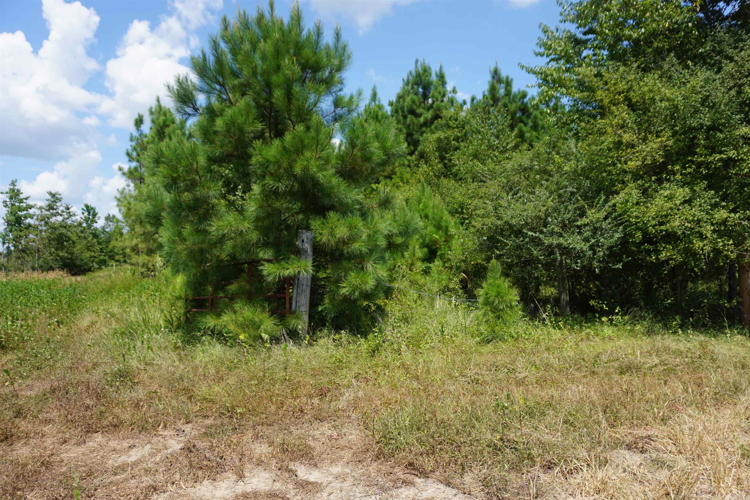 000 Stokes Rd  Bald Knob, AR