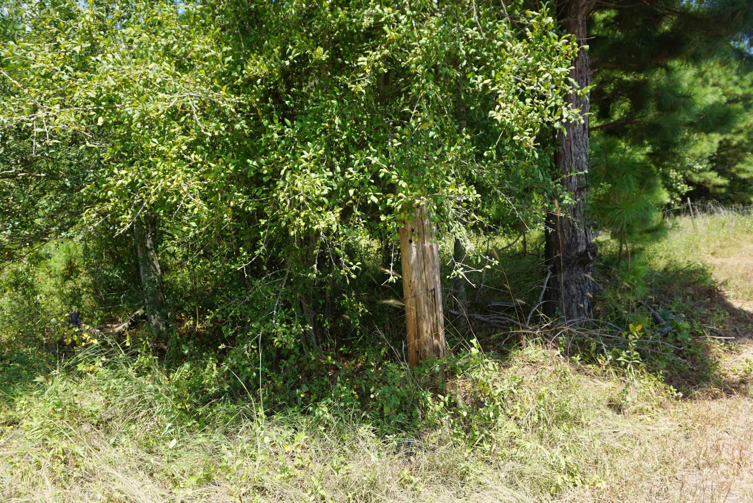 000 Stokes Rd  Bald Knob, AR