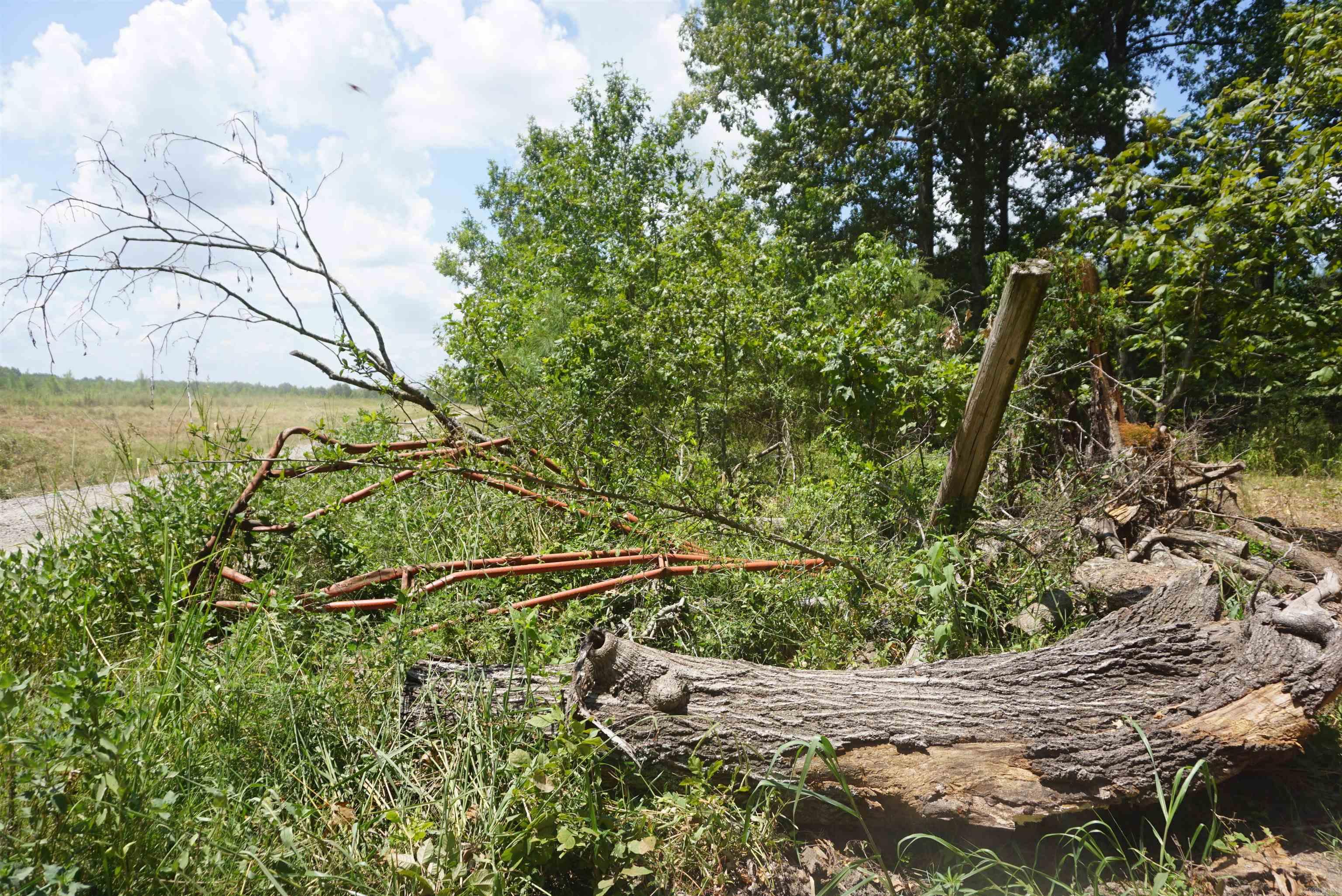 000 Stokes Rd  Bald Knob, AR