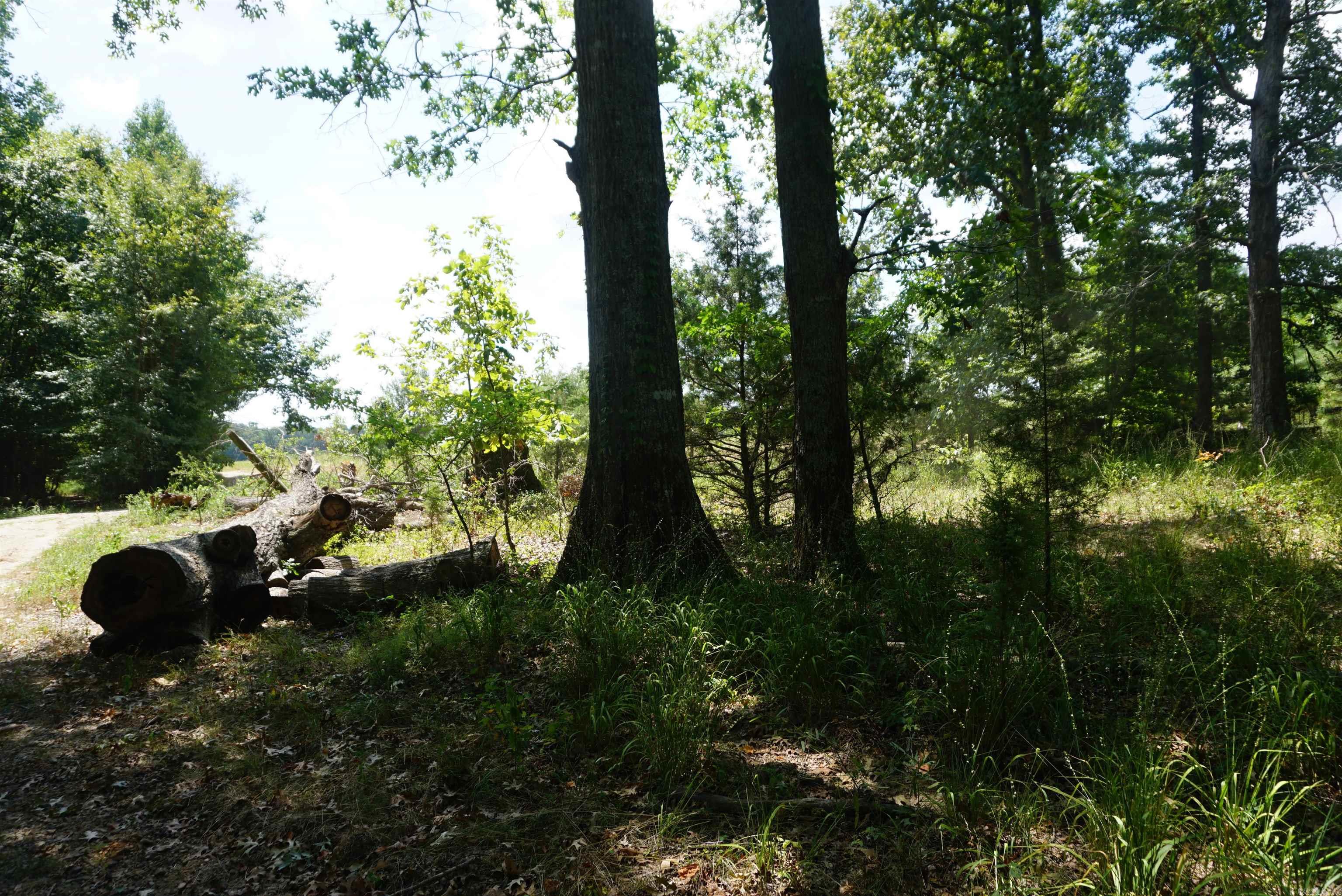 000 Stokes Rd  Bald Knob, AR