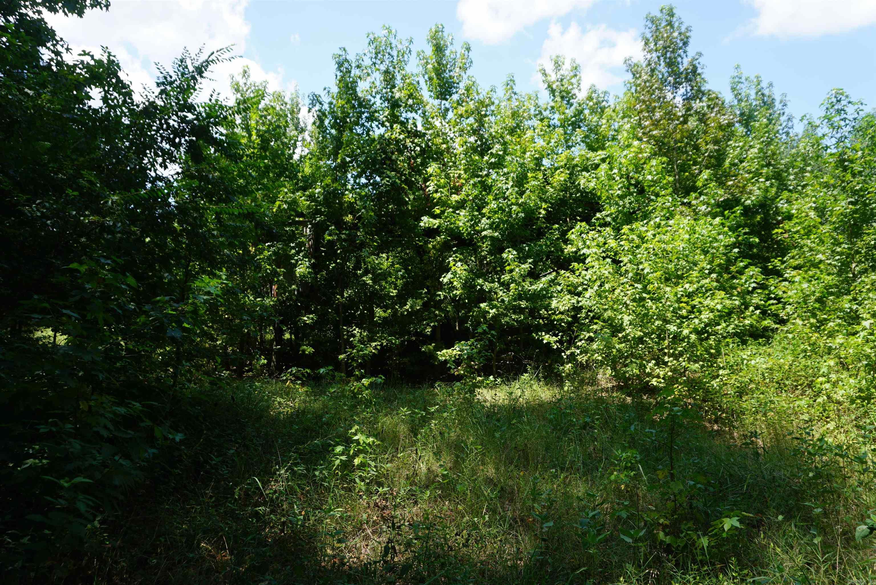 000 Stokes Rd  Bald Knob, AR