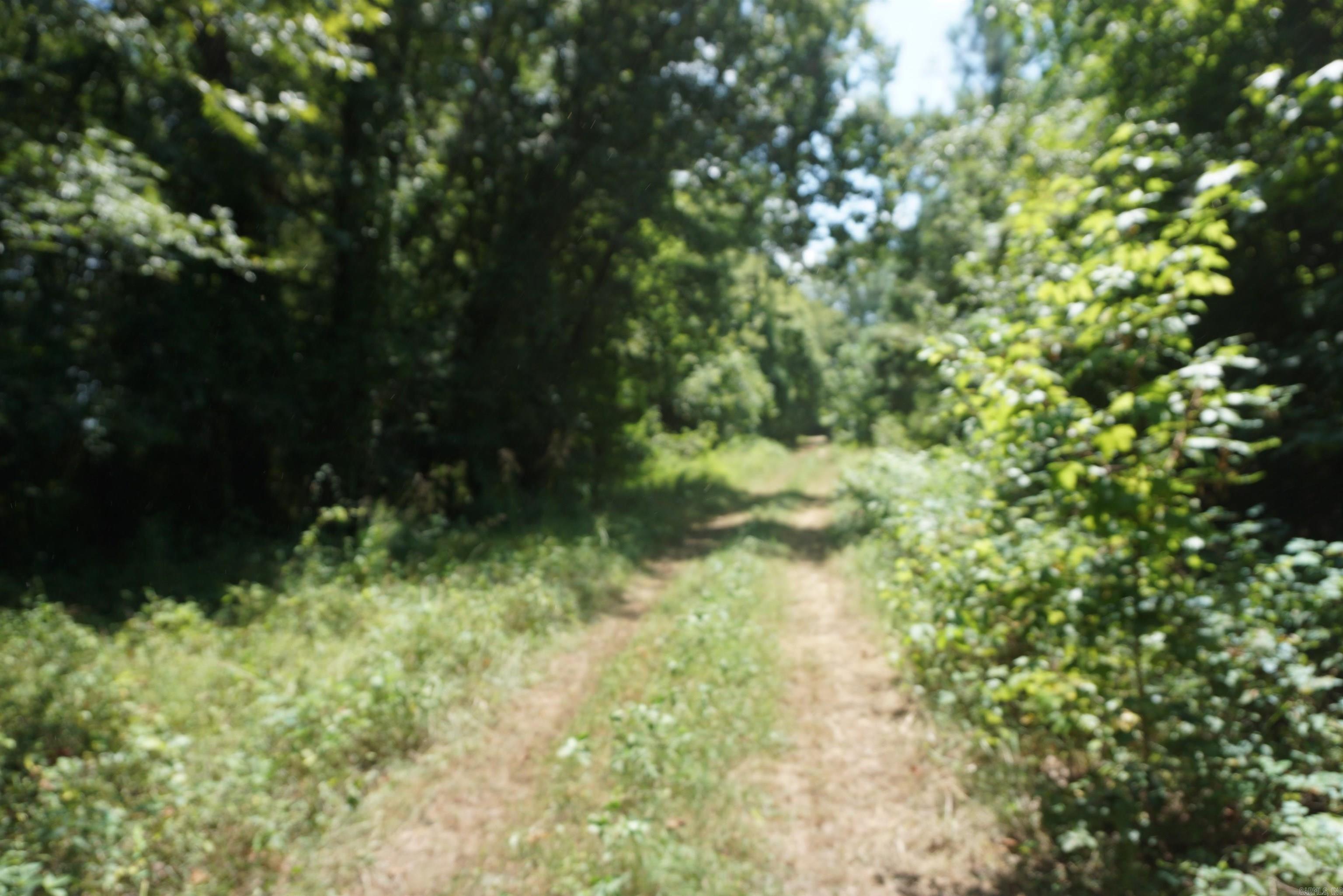 000 Stokes Rd  Bald Knob, AR