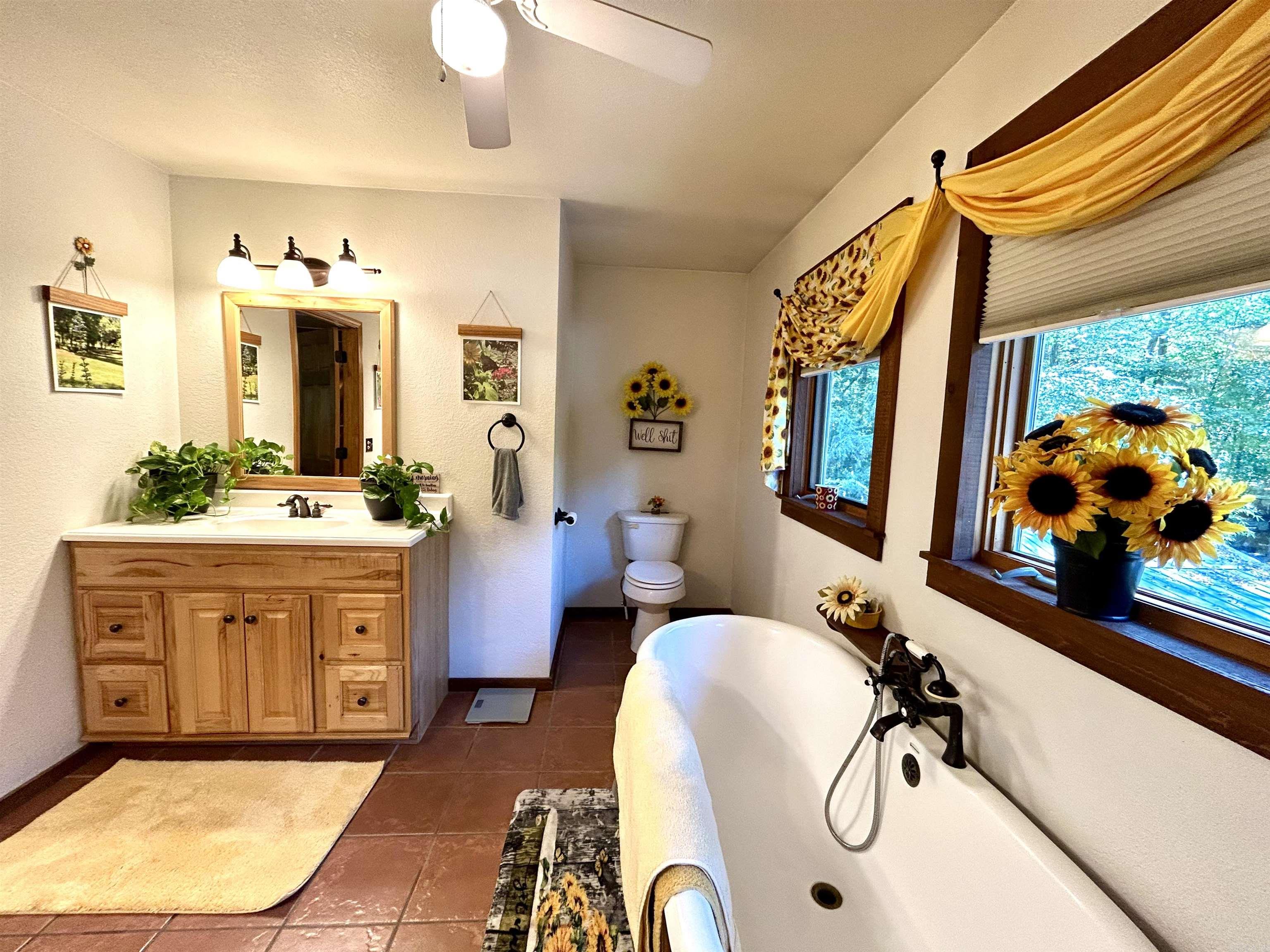 540 Lick Fork Dr Mountain View, AR 72560