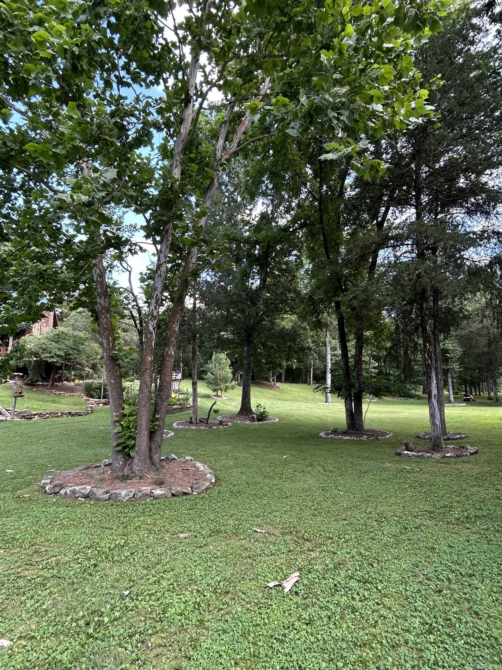 540 Lick Fork Dr Mountain View, AR 72560