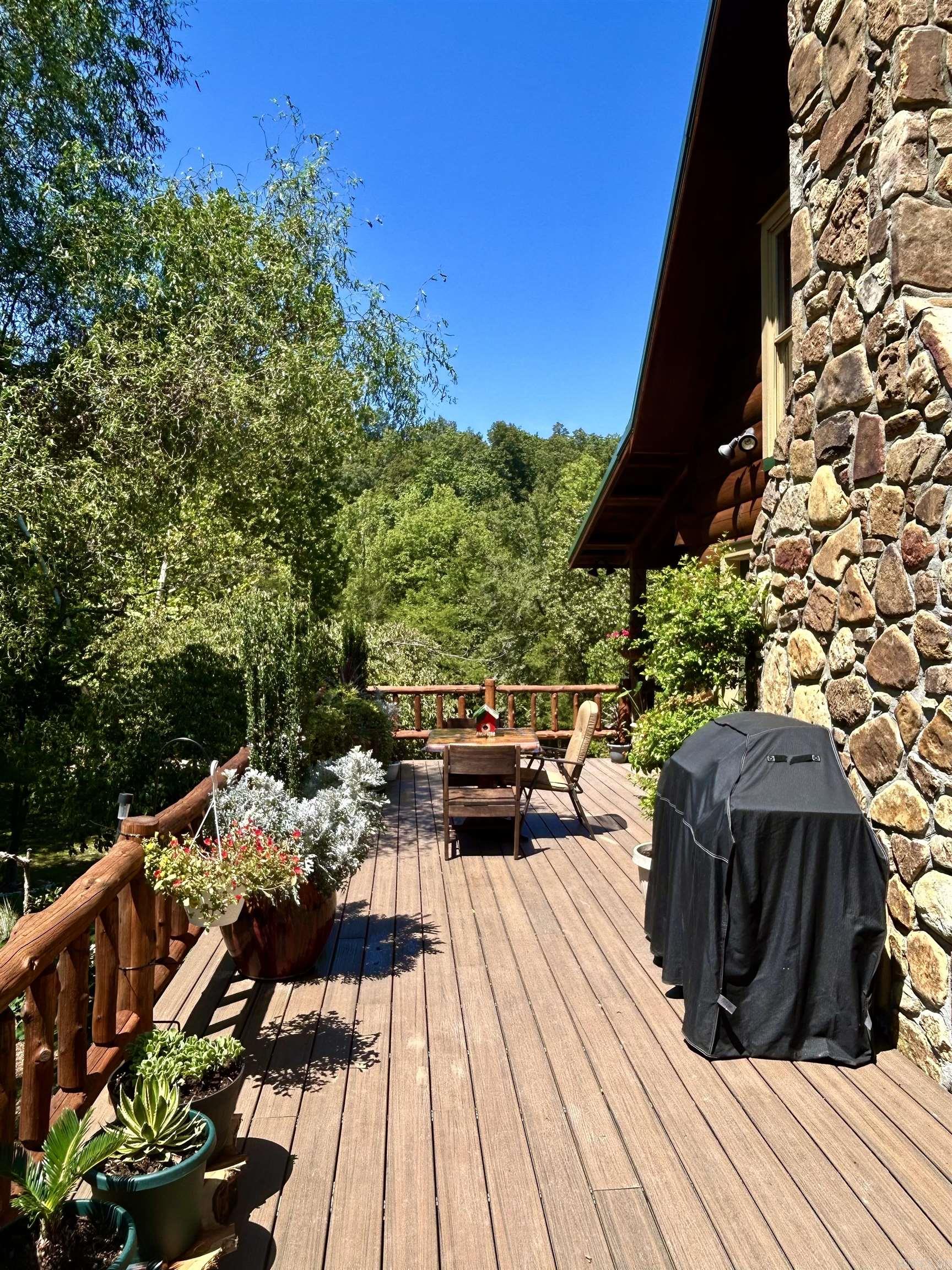 540 Lick Fork Dr Mountain View, AR 72560