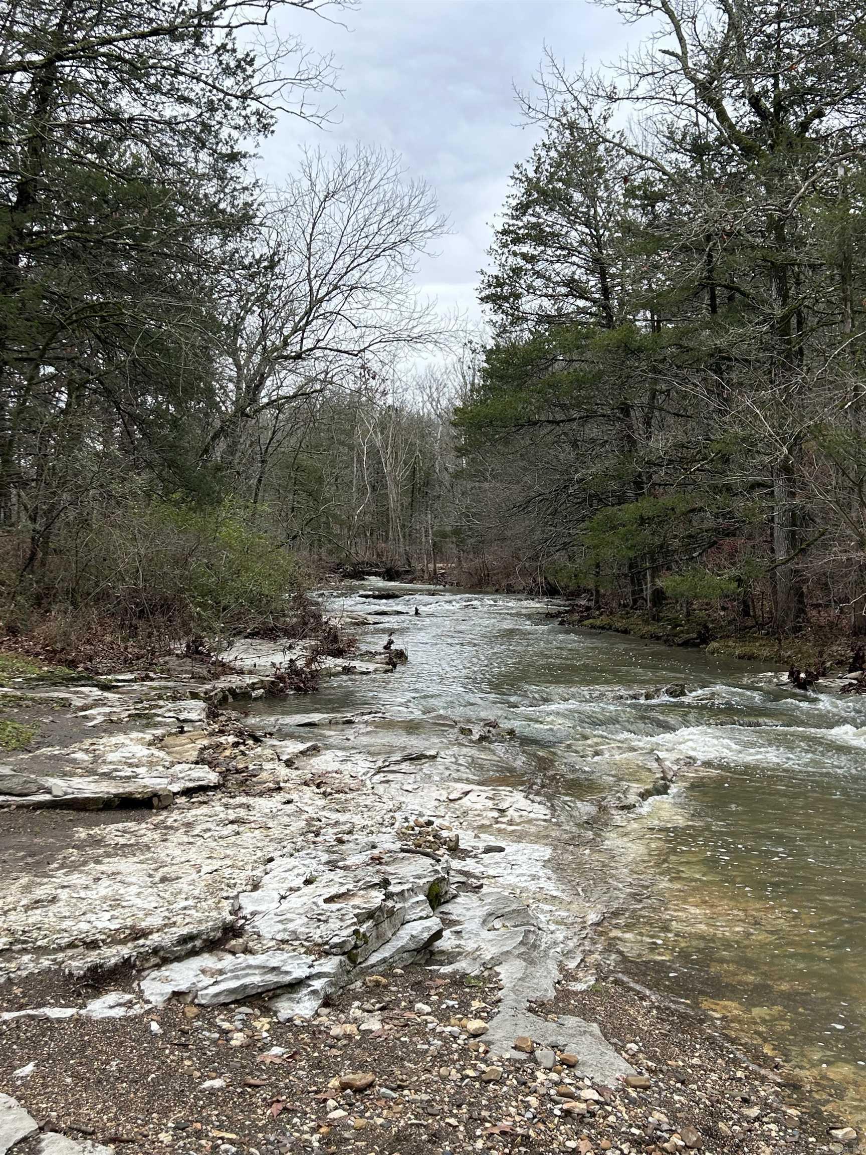 540 Lick Fork Dr Mountain View, AR 72560