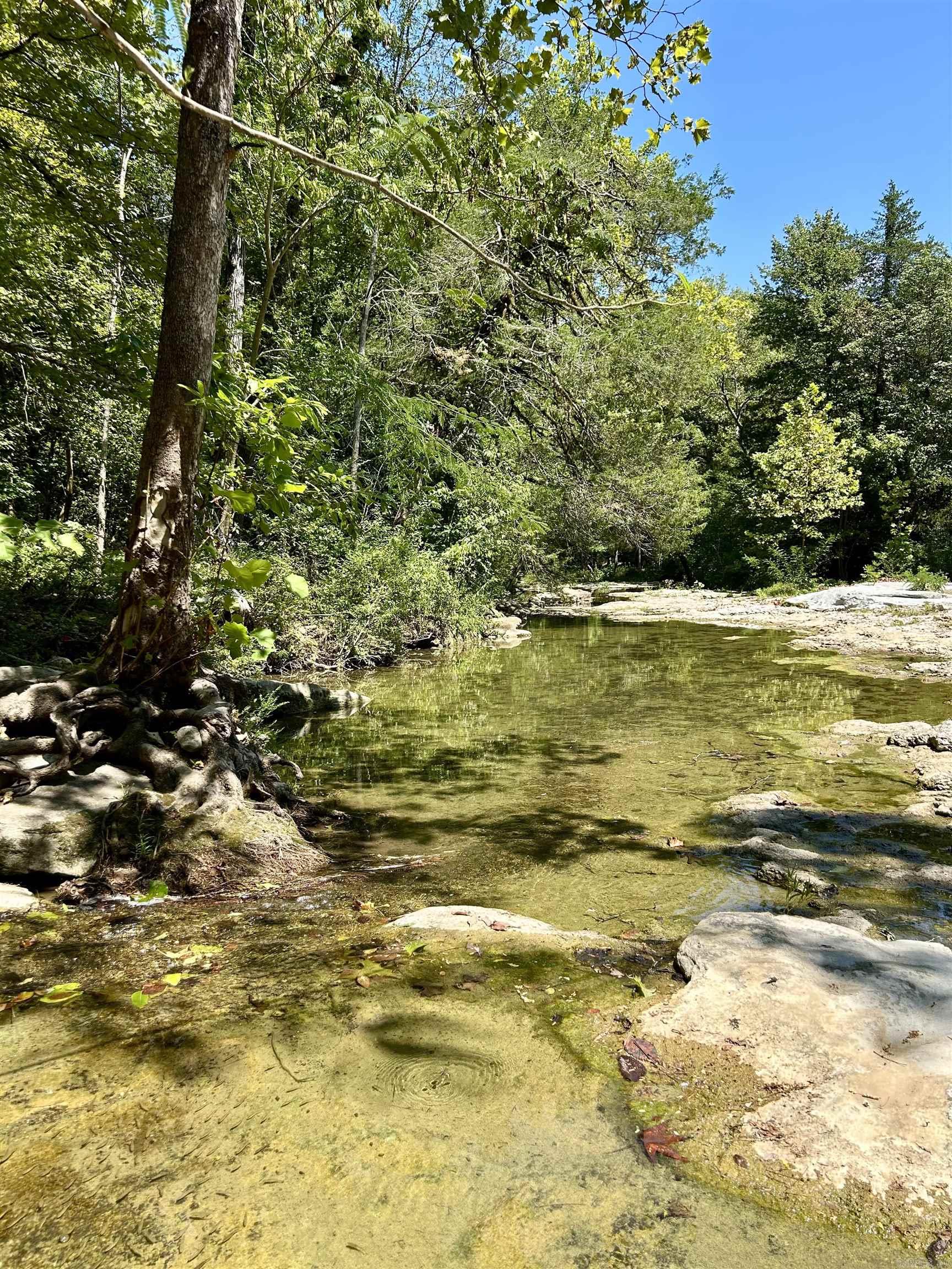 540 Lick Fork Dr Mountain View, AR 72560