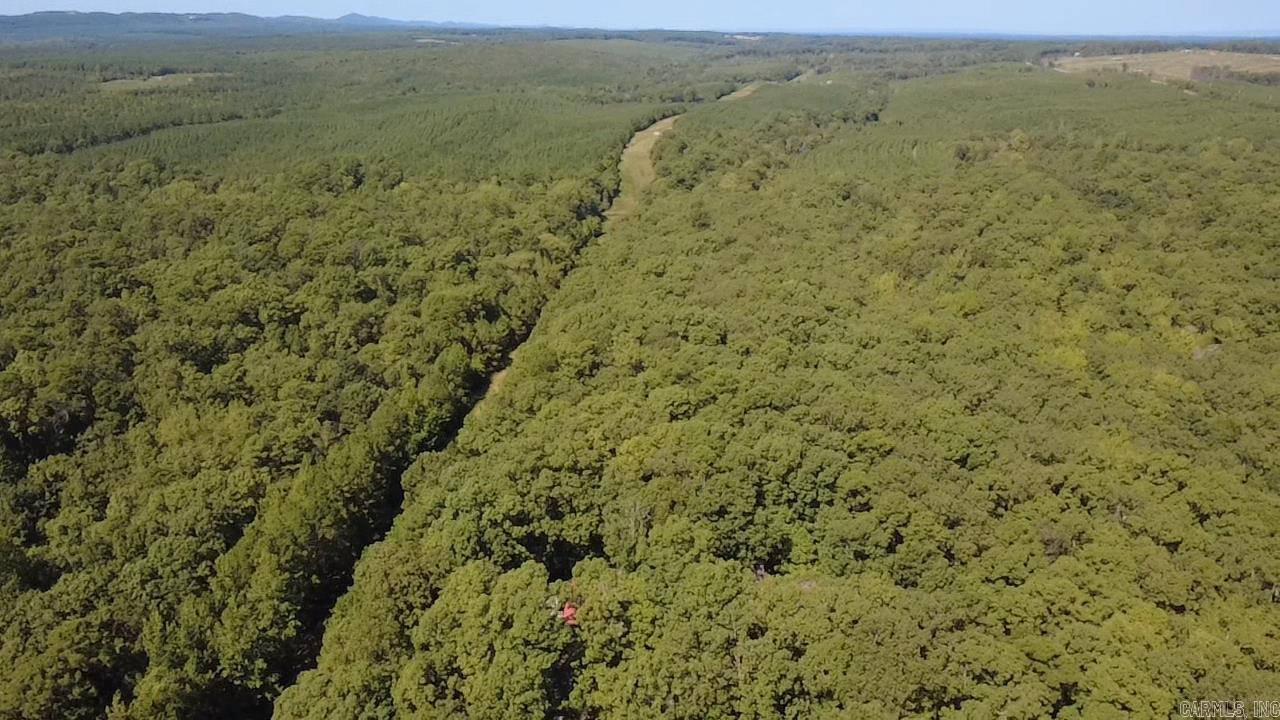 178 Forest Ln Vandervoort, AR 71972