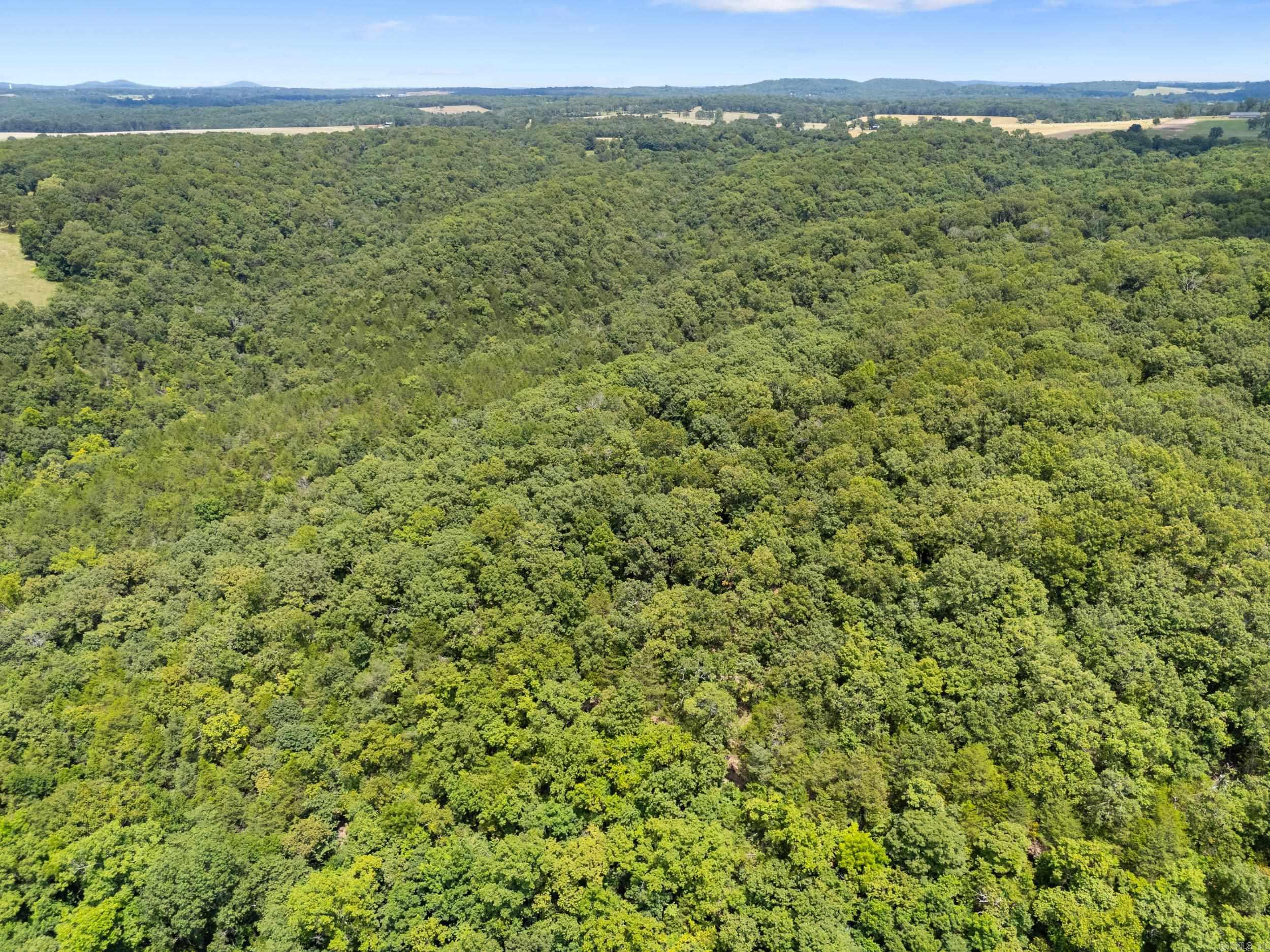 328 & 361 Rim Shoals  Mountain Home, AR