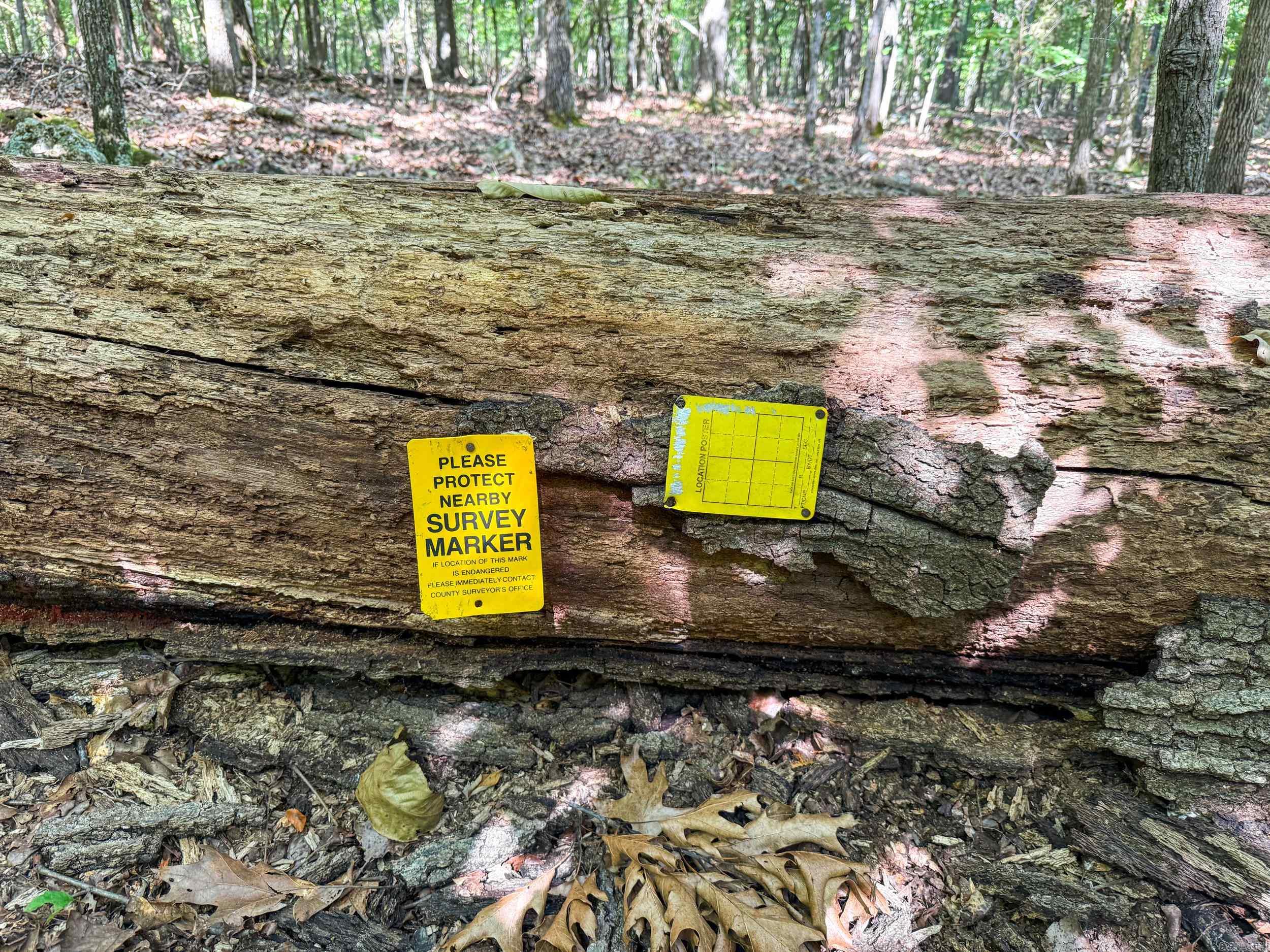 328 & 361 Rim Shoals  Mountain Home, AR