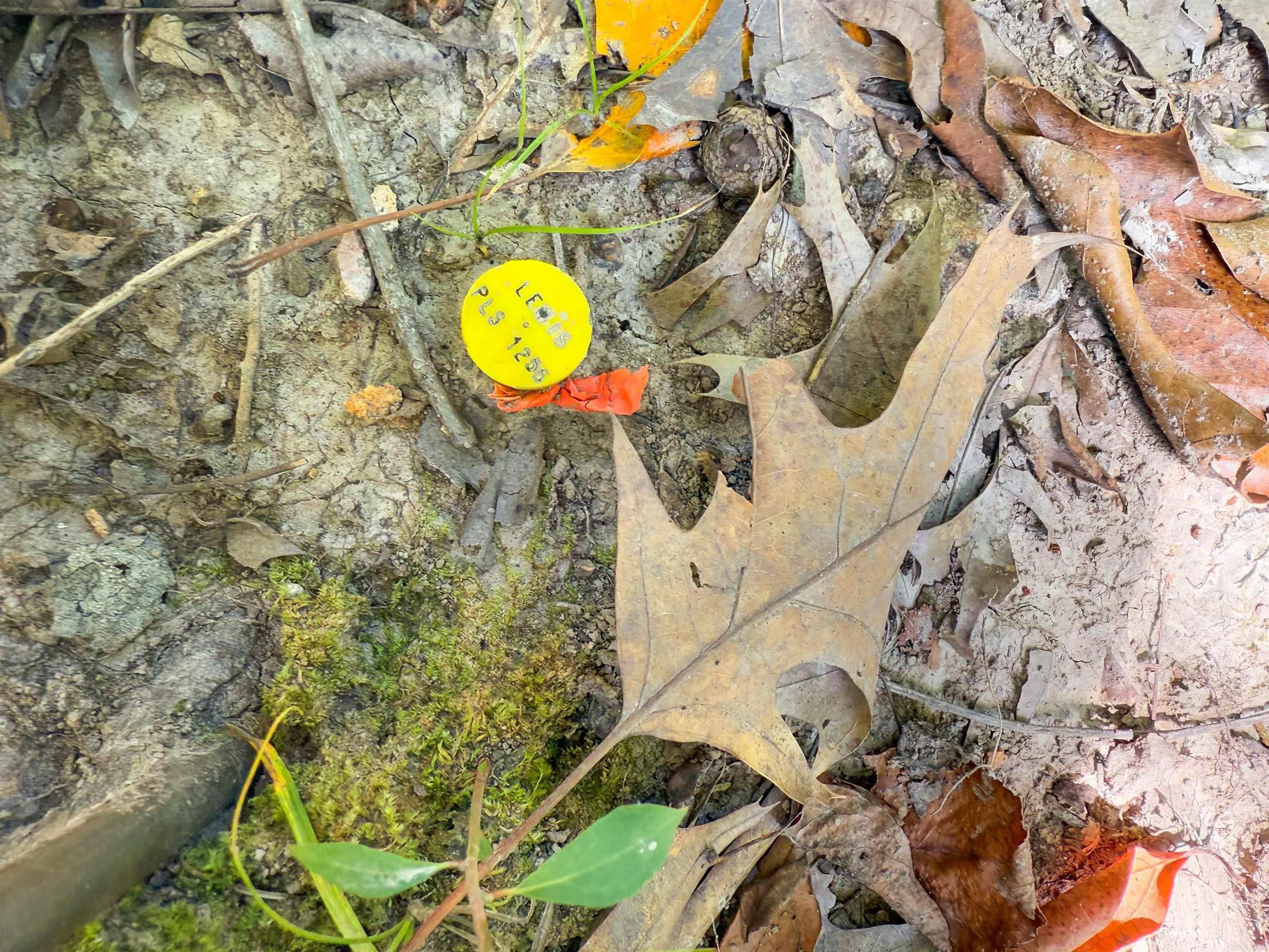 328 & 361 Rim Shoals  Mountain Home, AR