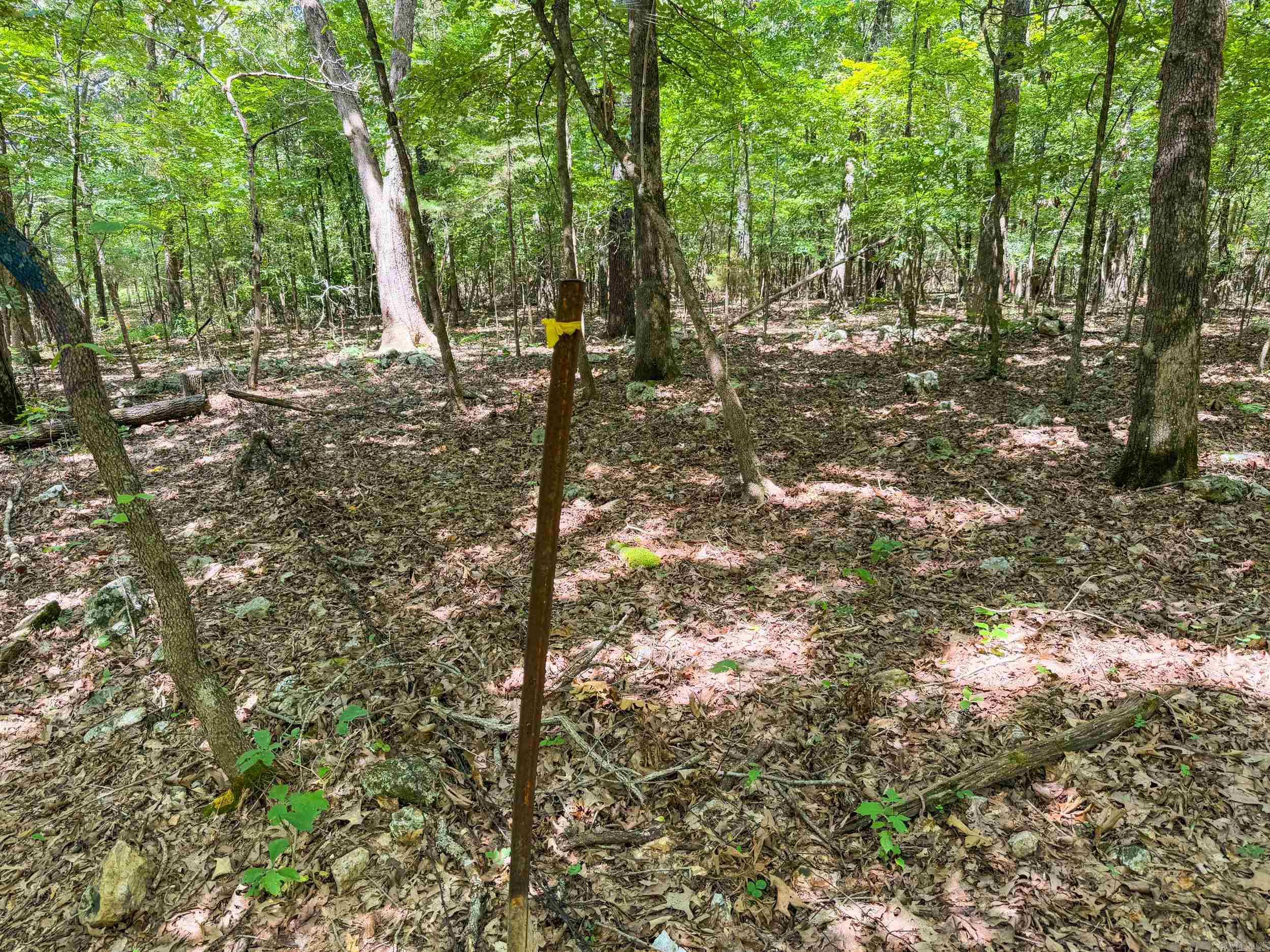 328 & 361 Rim Shoals  Mountain Home, AR