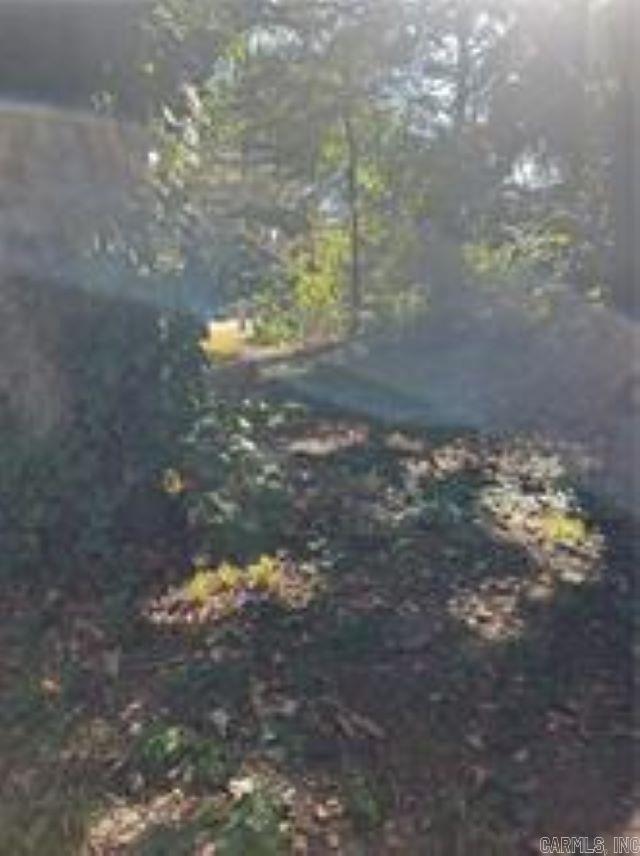 806 NW 1St St Atkins, AR 72823