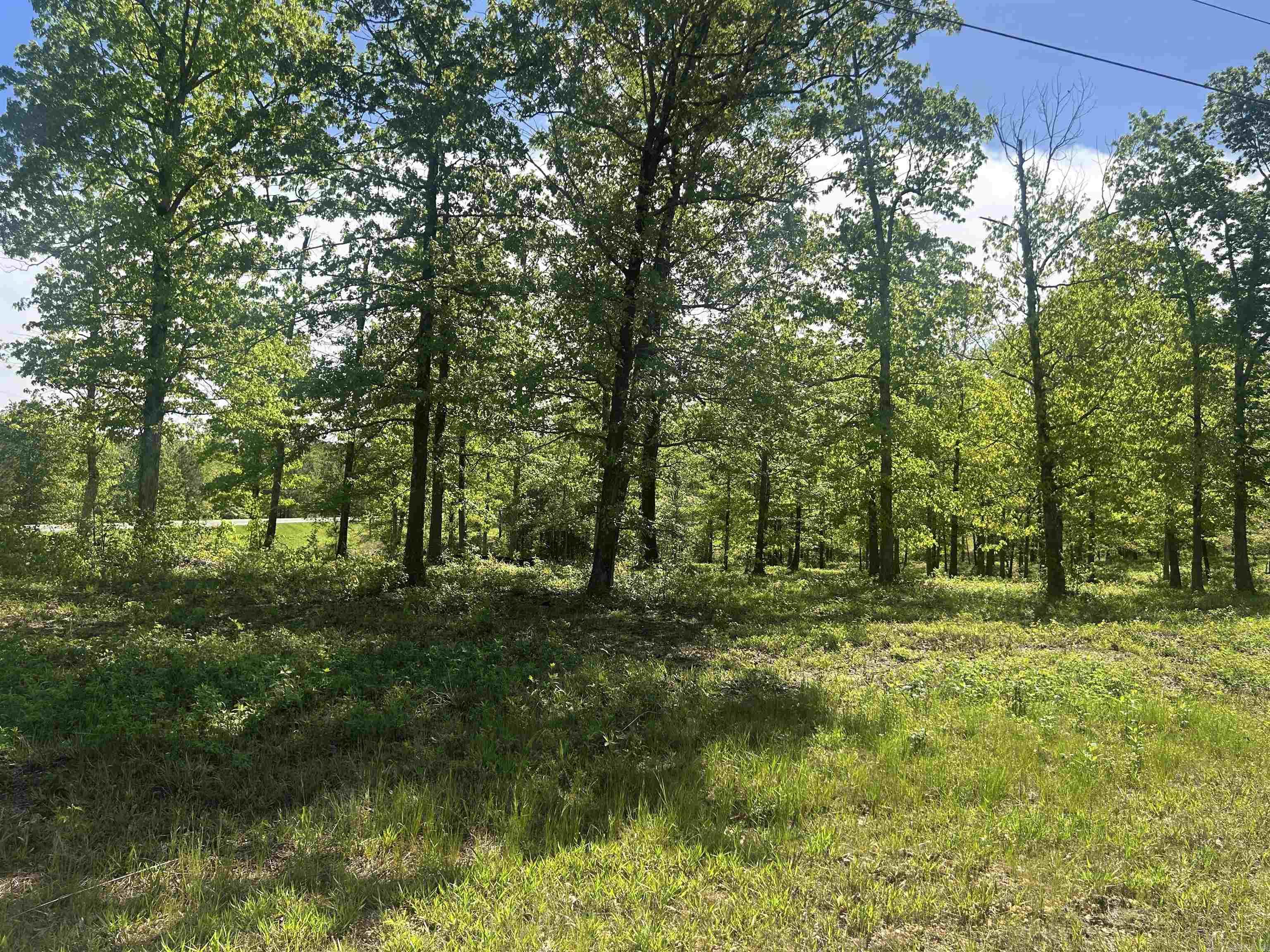Lot 1 Grant County Road 762  Sheridan, AR