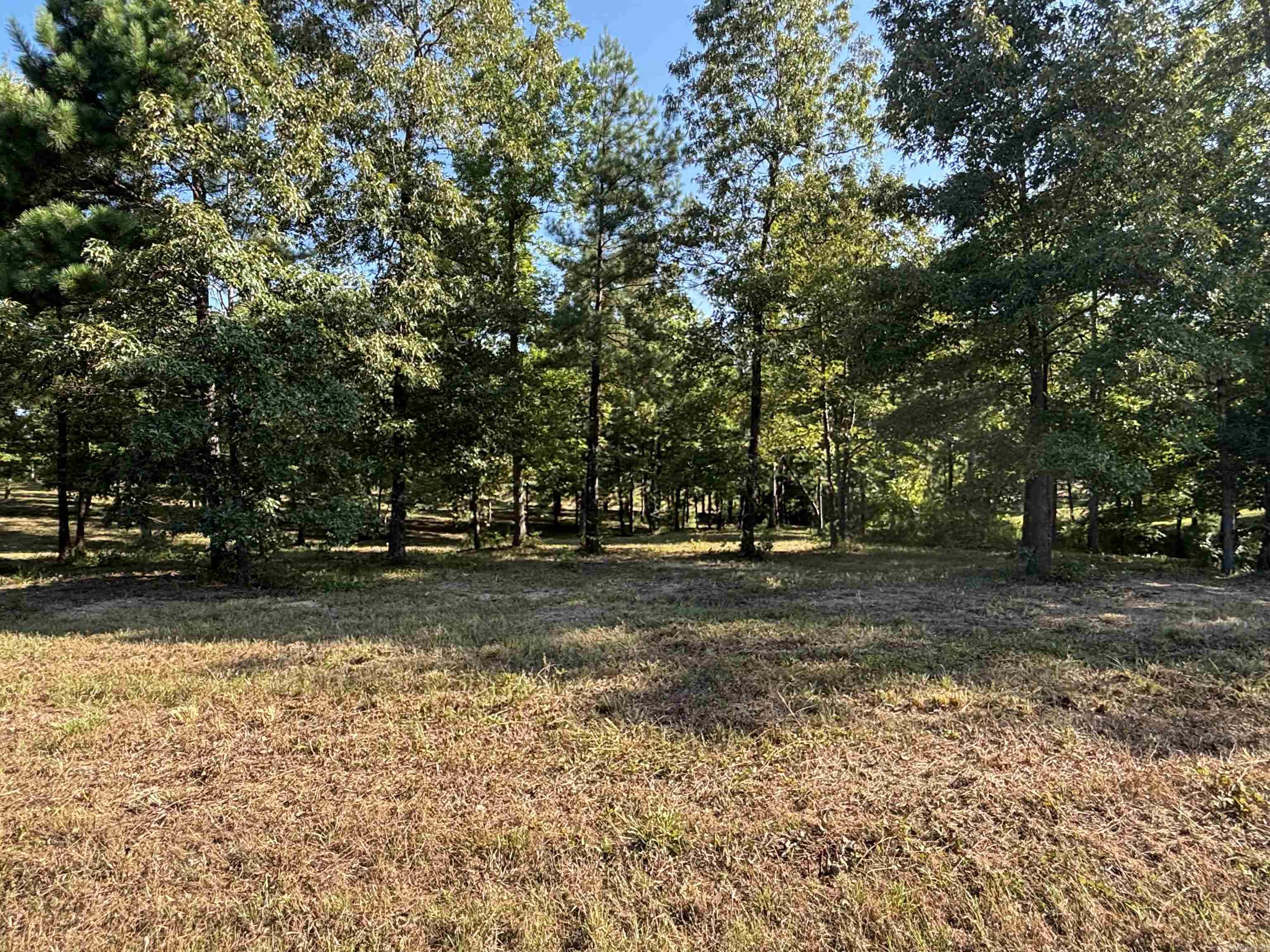 Lot 1 Grant County Road 762  Sheridan, AR