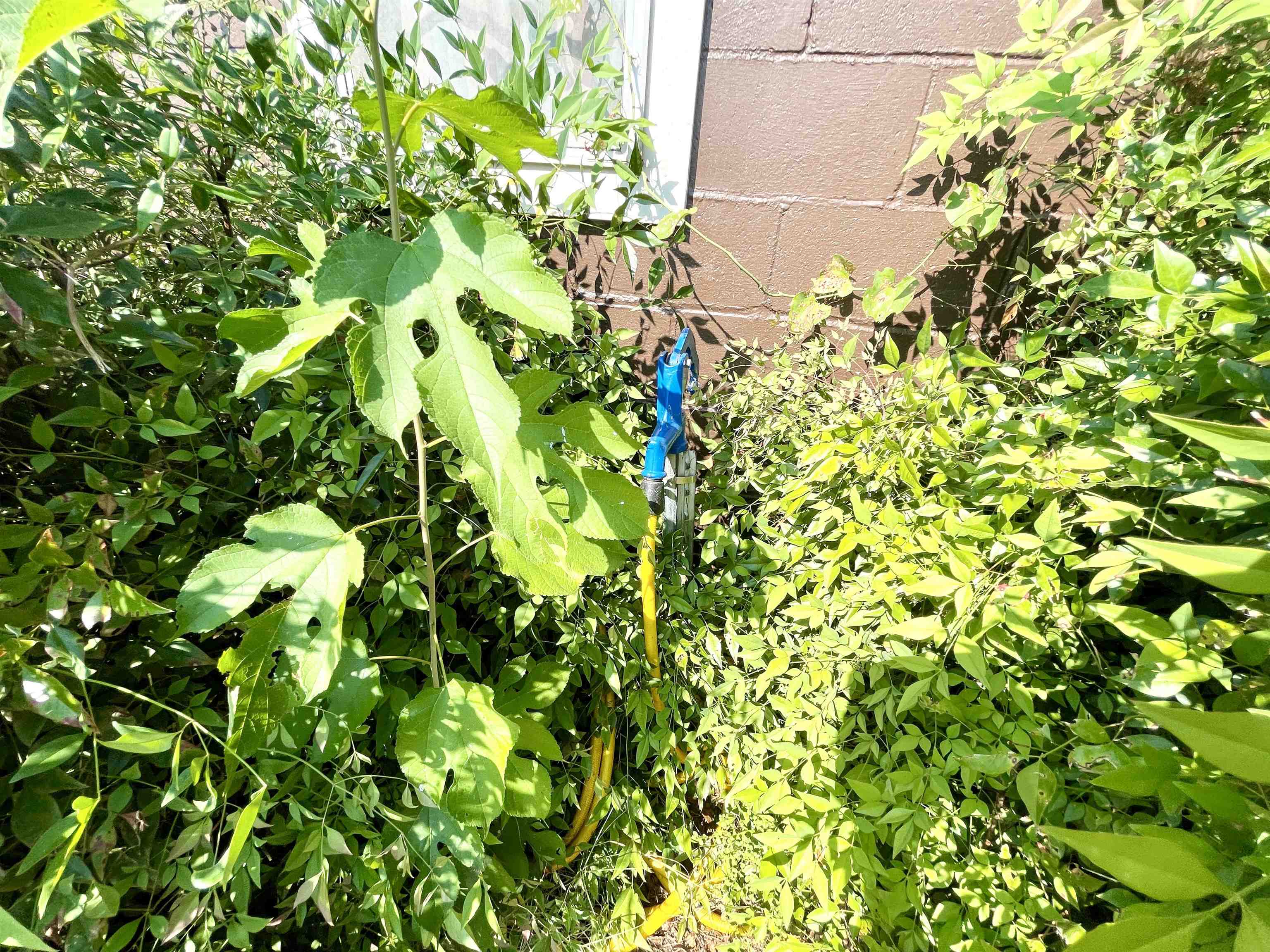 2511 Heart  Glencoe, AR