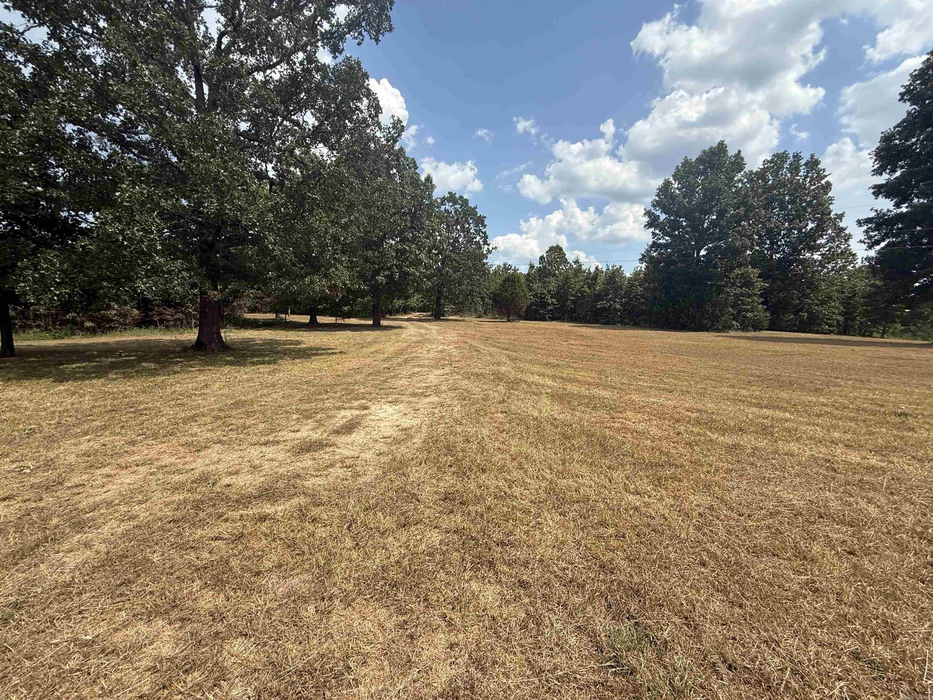 81 Union Hill Road  Mammoth Spring, AR