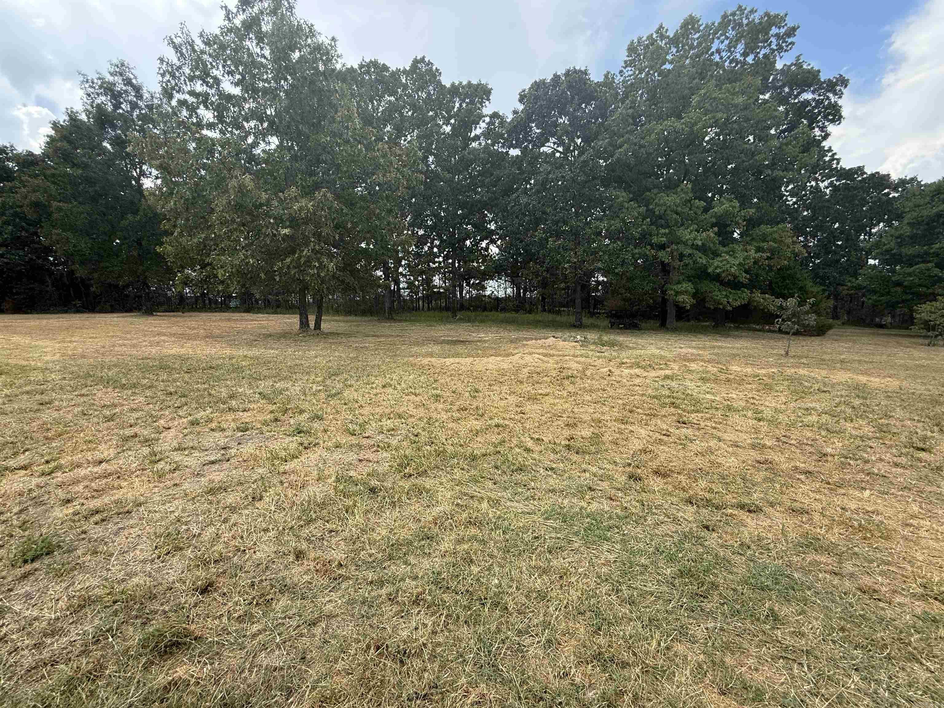 81 Union Hill Road  Mammoth Spring, AR