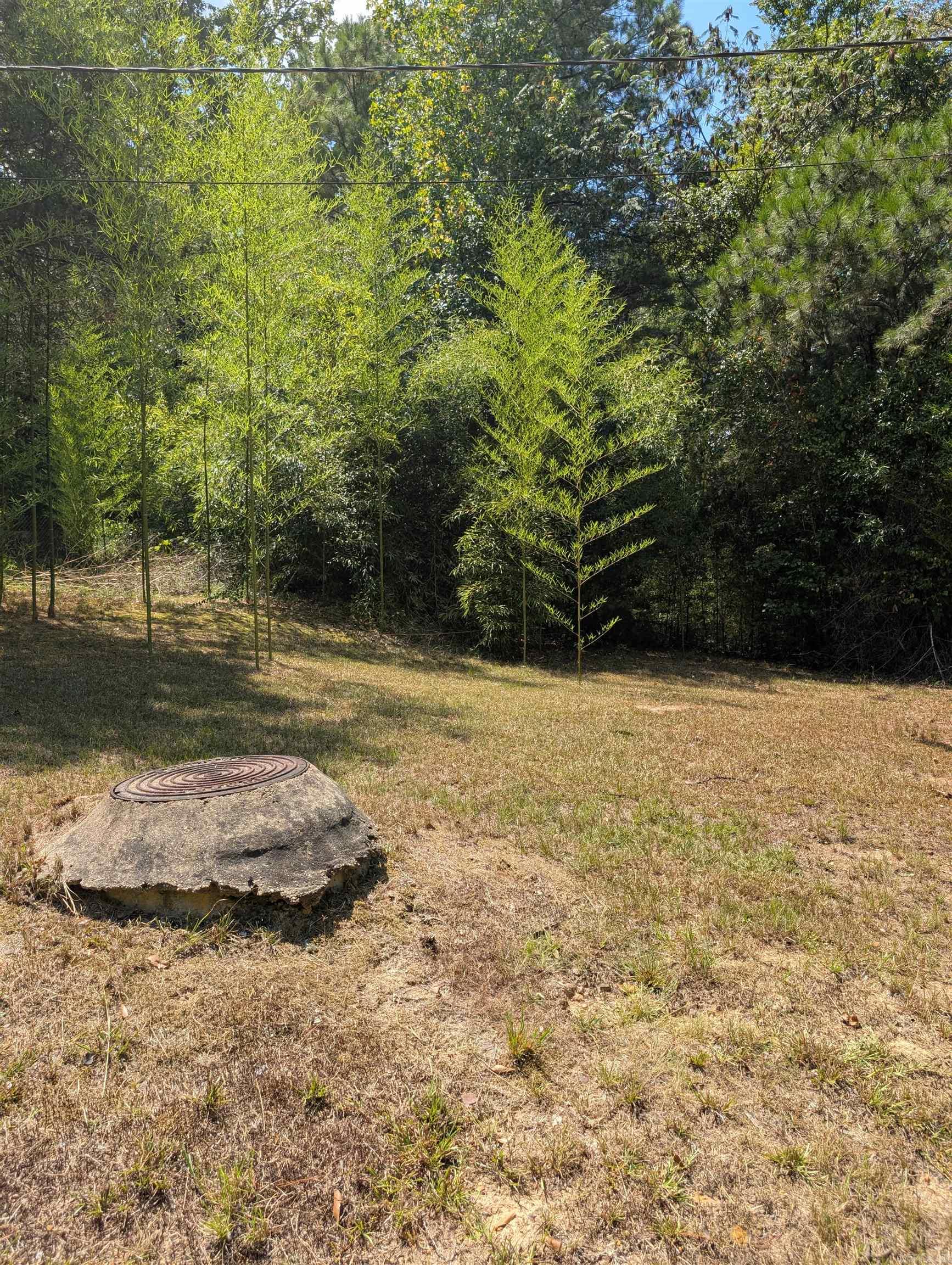 5397 Hwy 24  Chidester, AR