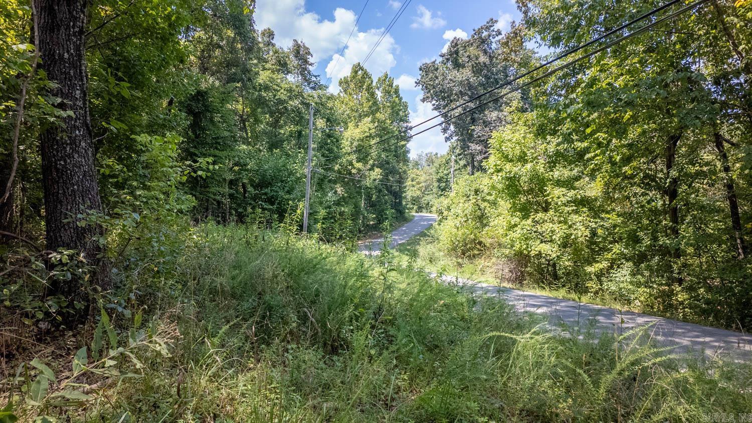 Lots 17-19 Riverbend Road  Mammoth Spring, AR