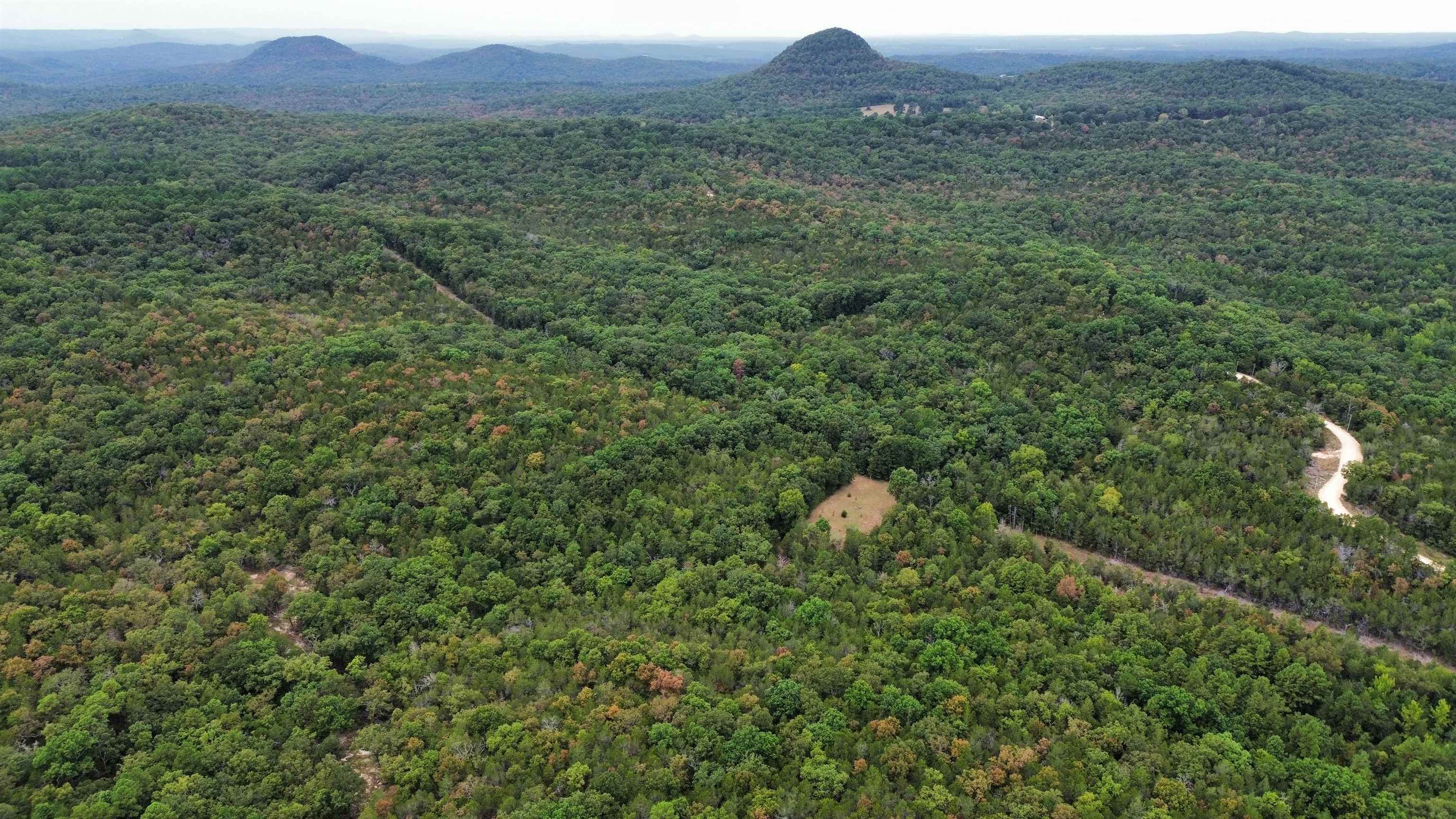 4217 Mill Creek  Melbourne, AR