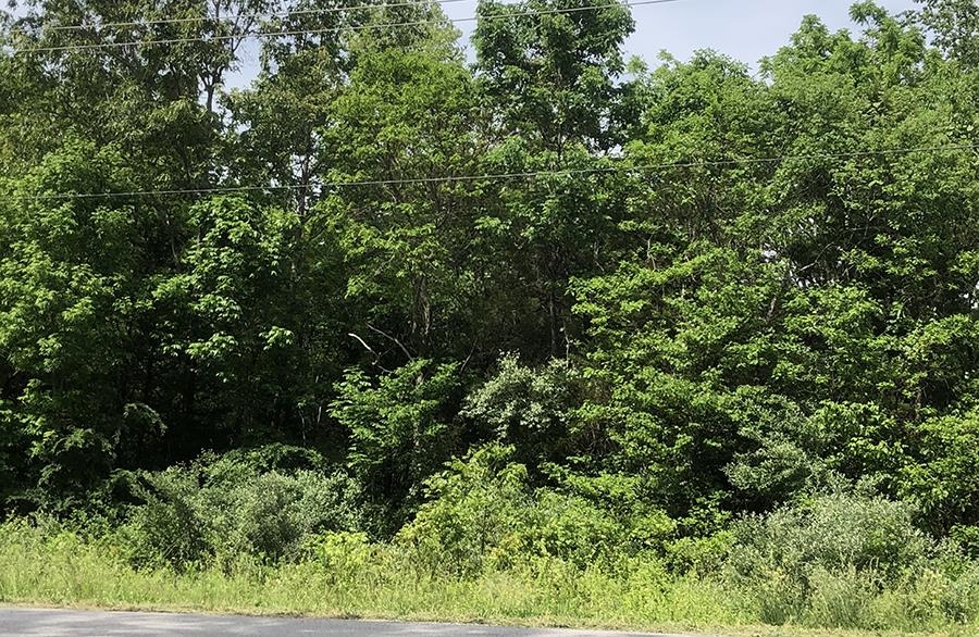 0000 Pojoque  Cherokee Village, AR