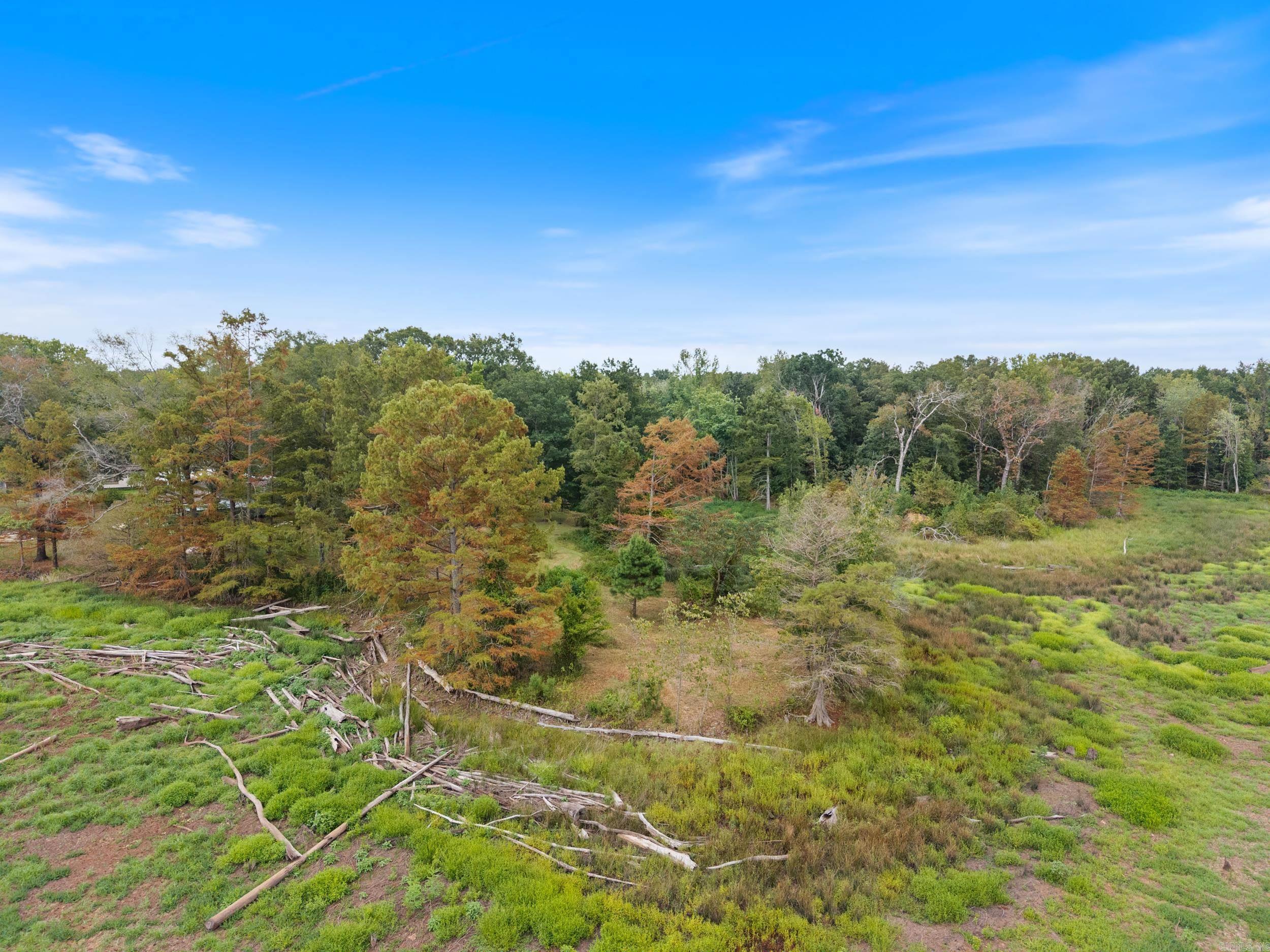 15 Brown Street  Conway, AR