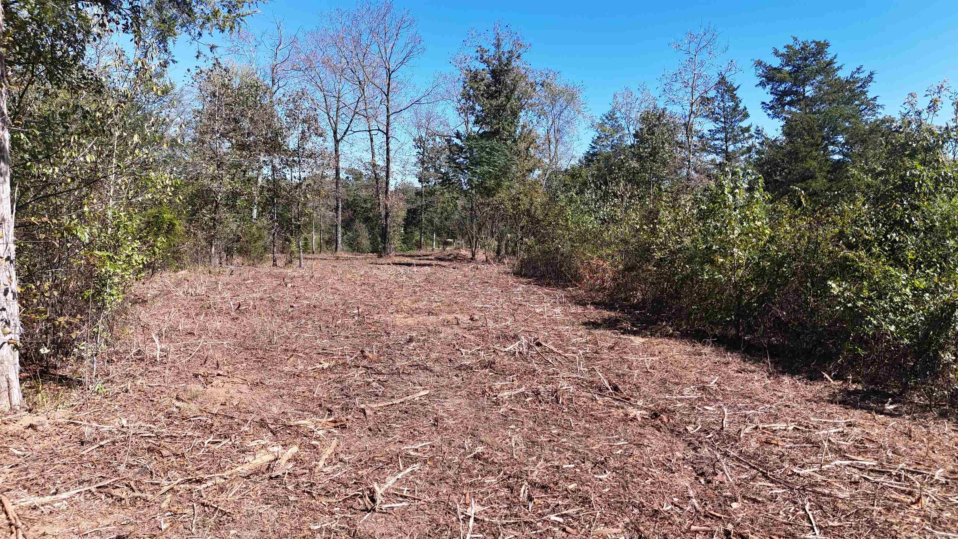 TBD Polk Road 676  Mena, AR