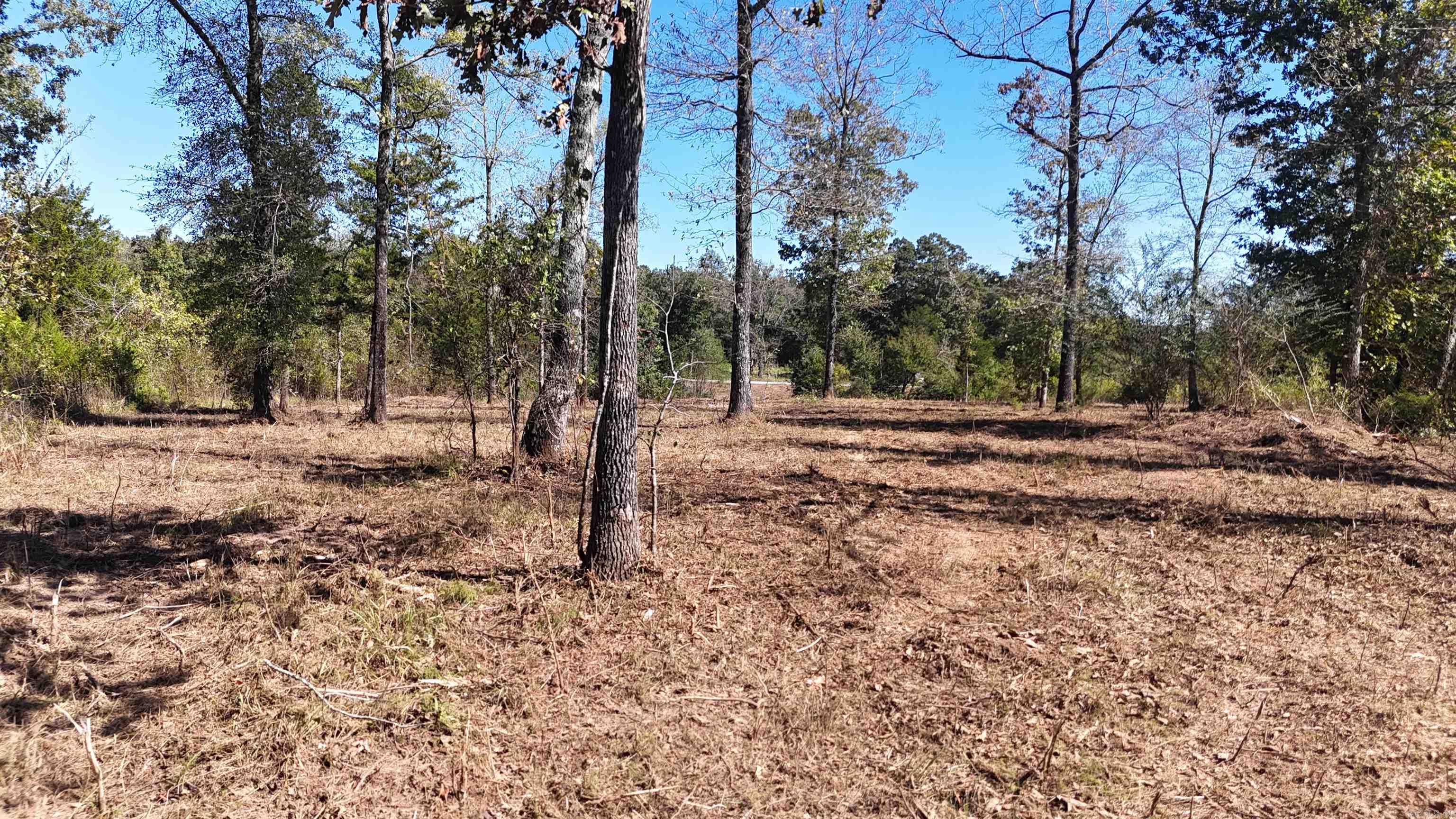 TBD Polk Road 676  Mena, AR