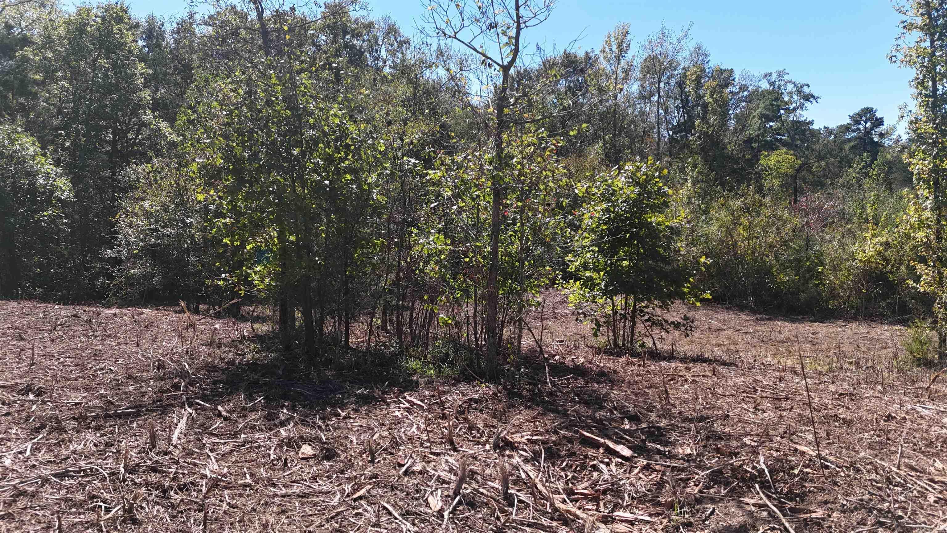 TBD Polk Road 676  Mena, AR