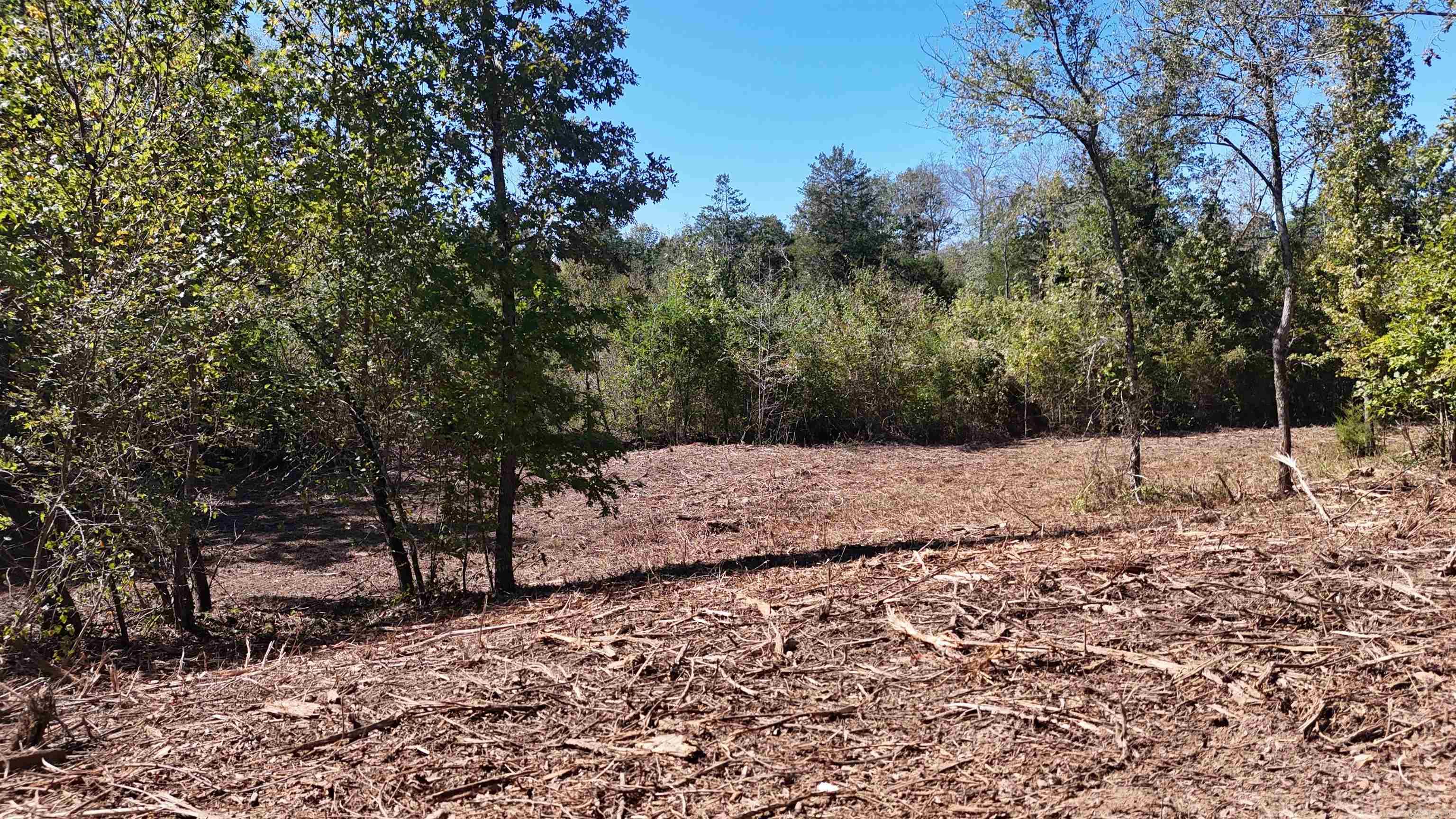 TBD Polk Road 676  Mena, AR