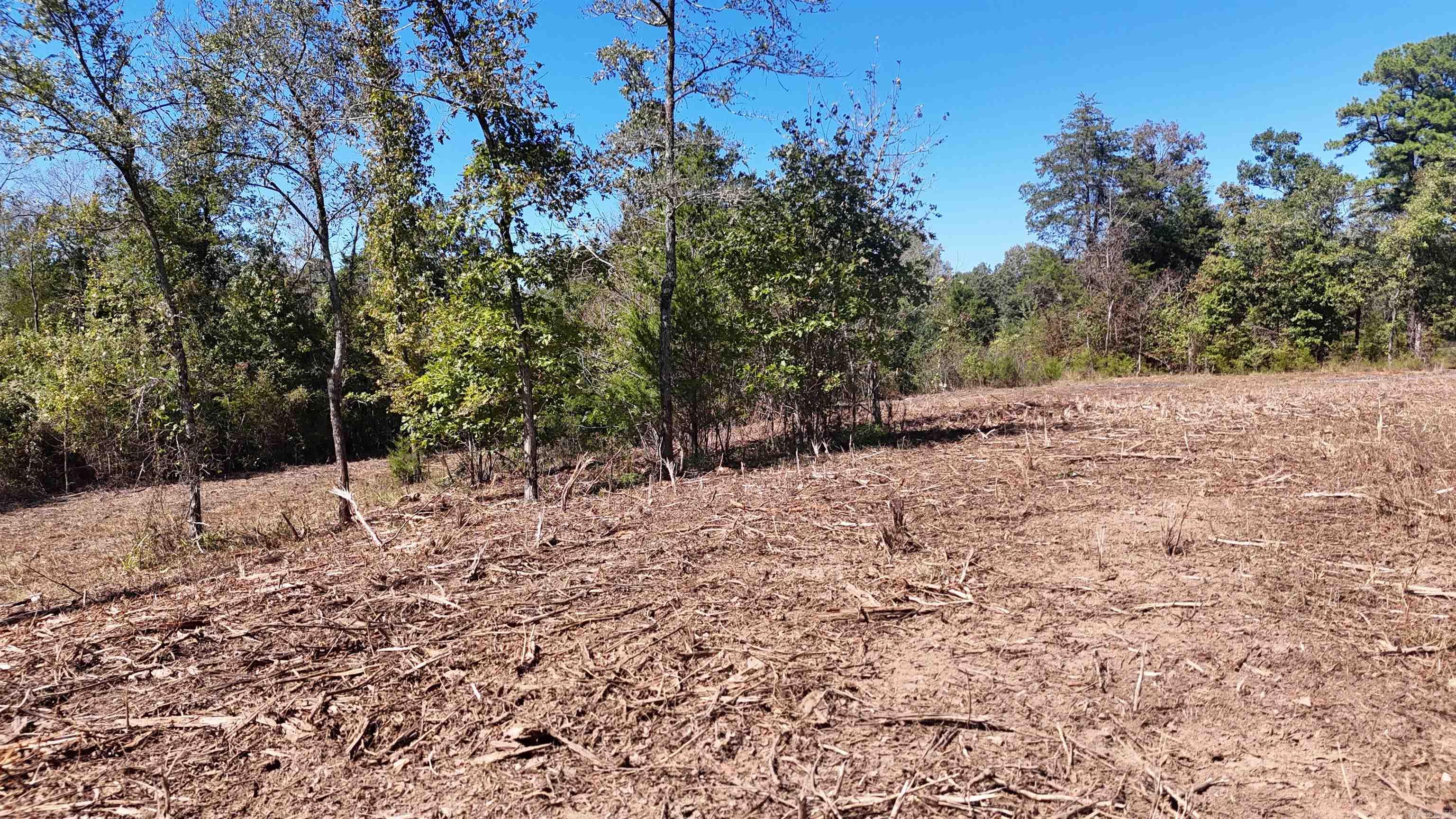 TBD Polk Road 676  Mena, AR