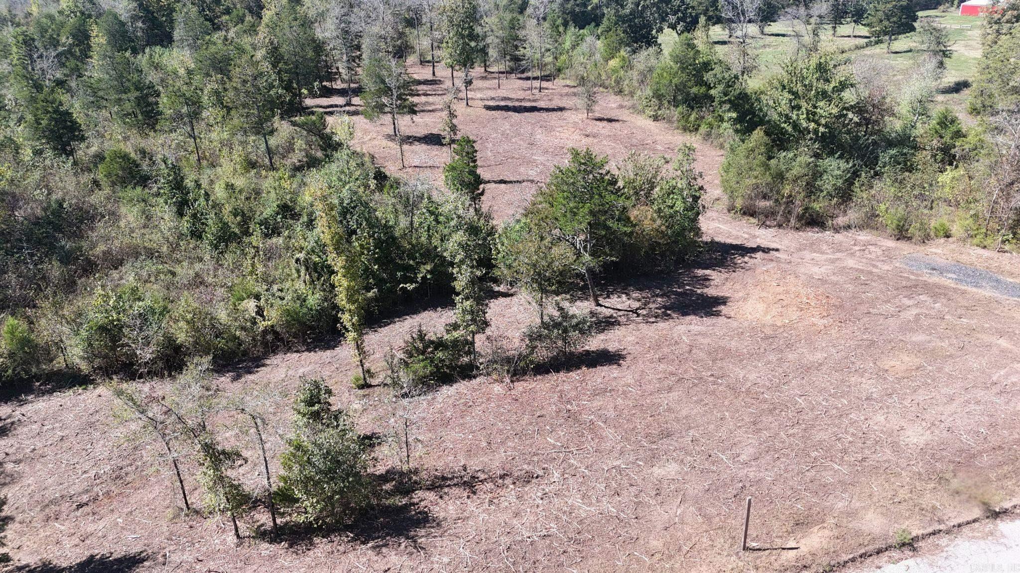 TBD Polk Road 676  Mena, AR