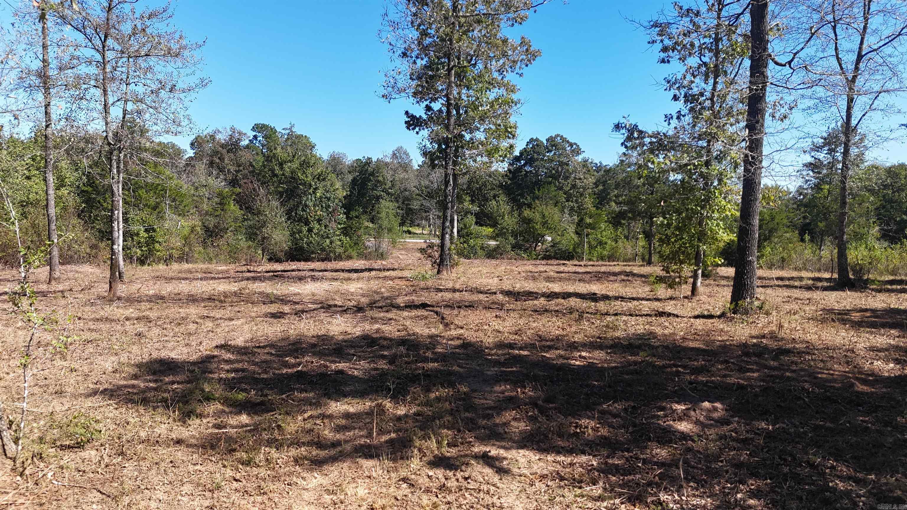 TBD Polk Road 676  Mena, AR