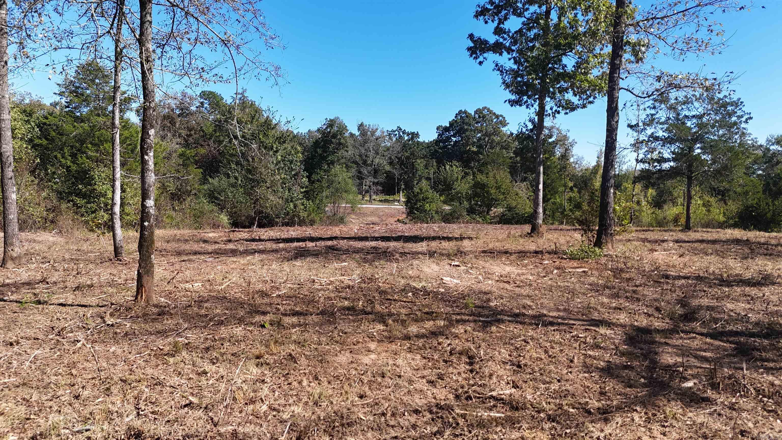 TBD Polk Road 676  Mena, AR