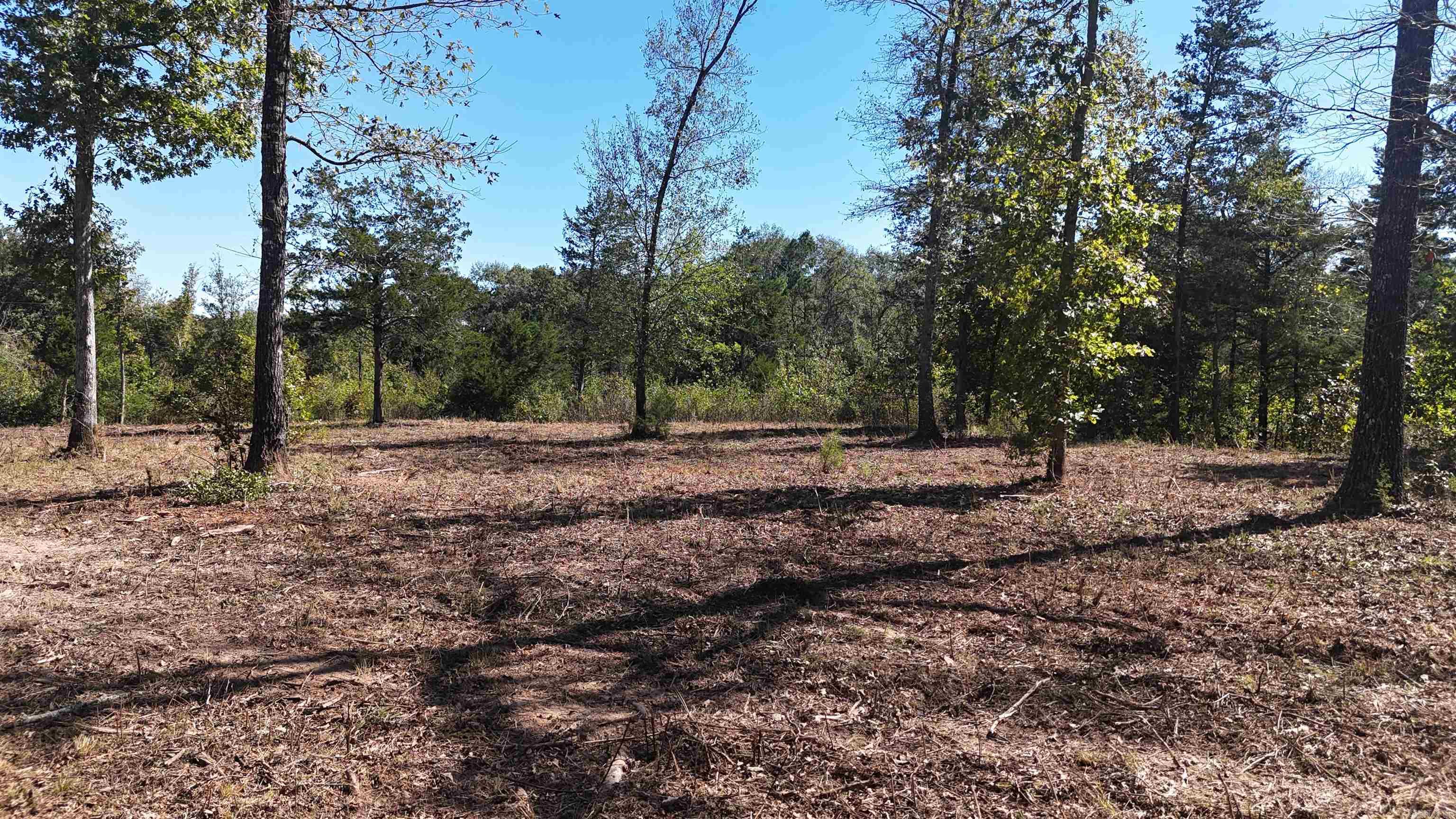 TBD Polk Road 676  Mena, AR