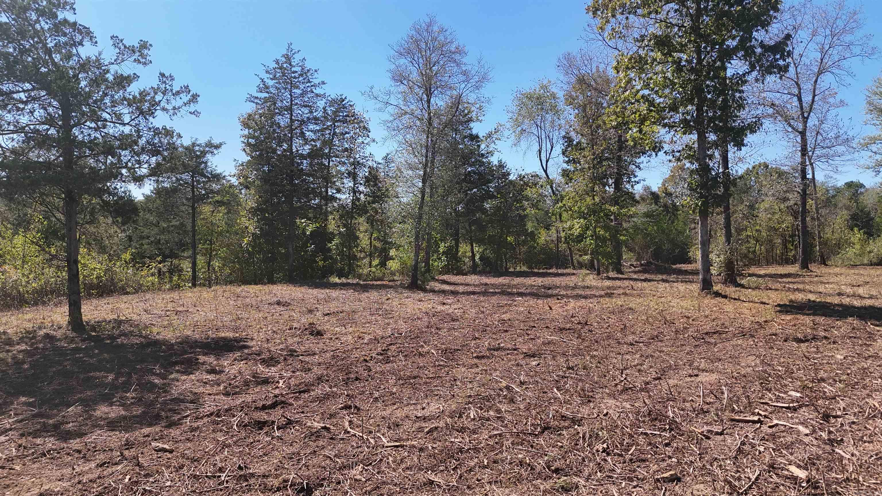 TBD Polk Road 676  Mena, AR