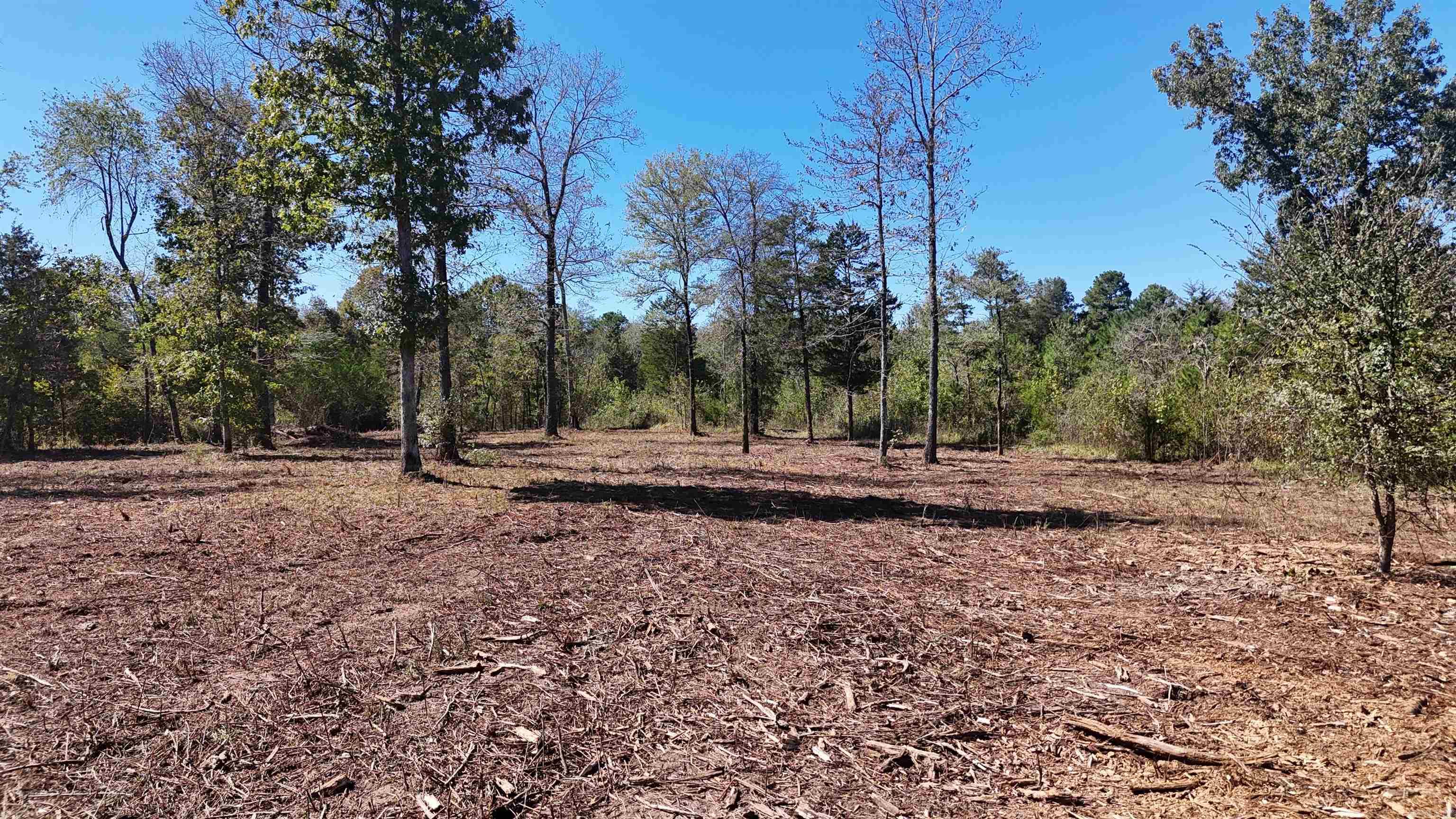 TBD Polk Road 676  Mena, AR