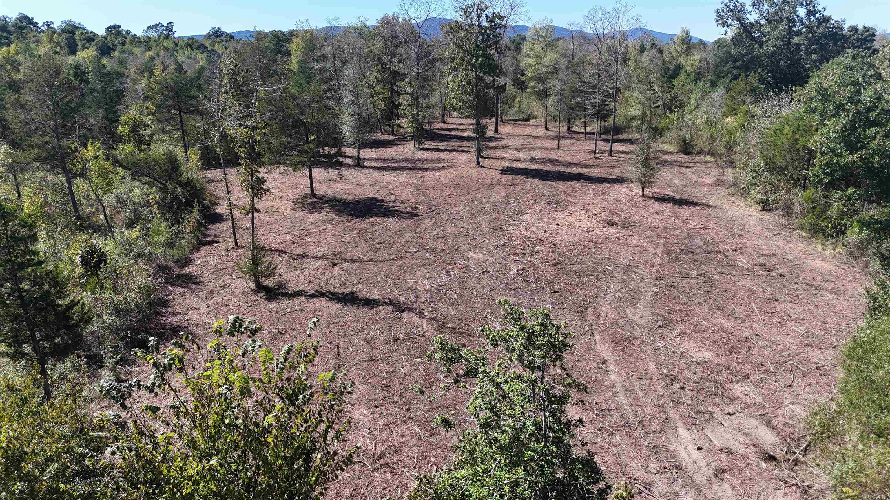 TBD Polk Road 676  Mena, AR