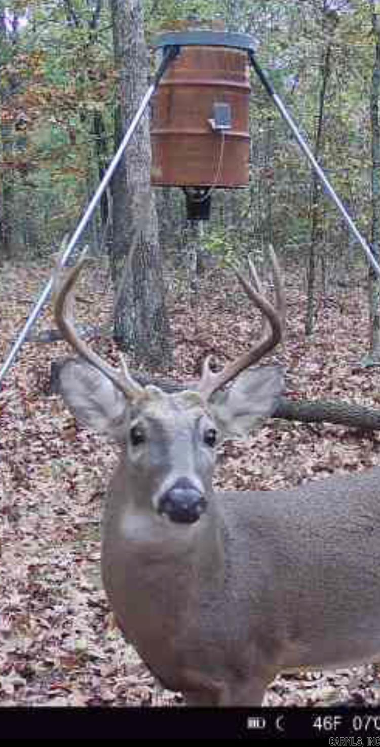 000 Jackson 5  Bradford, AR