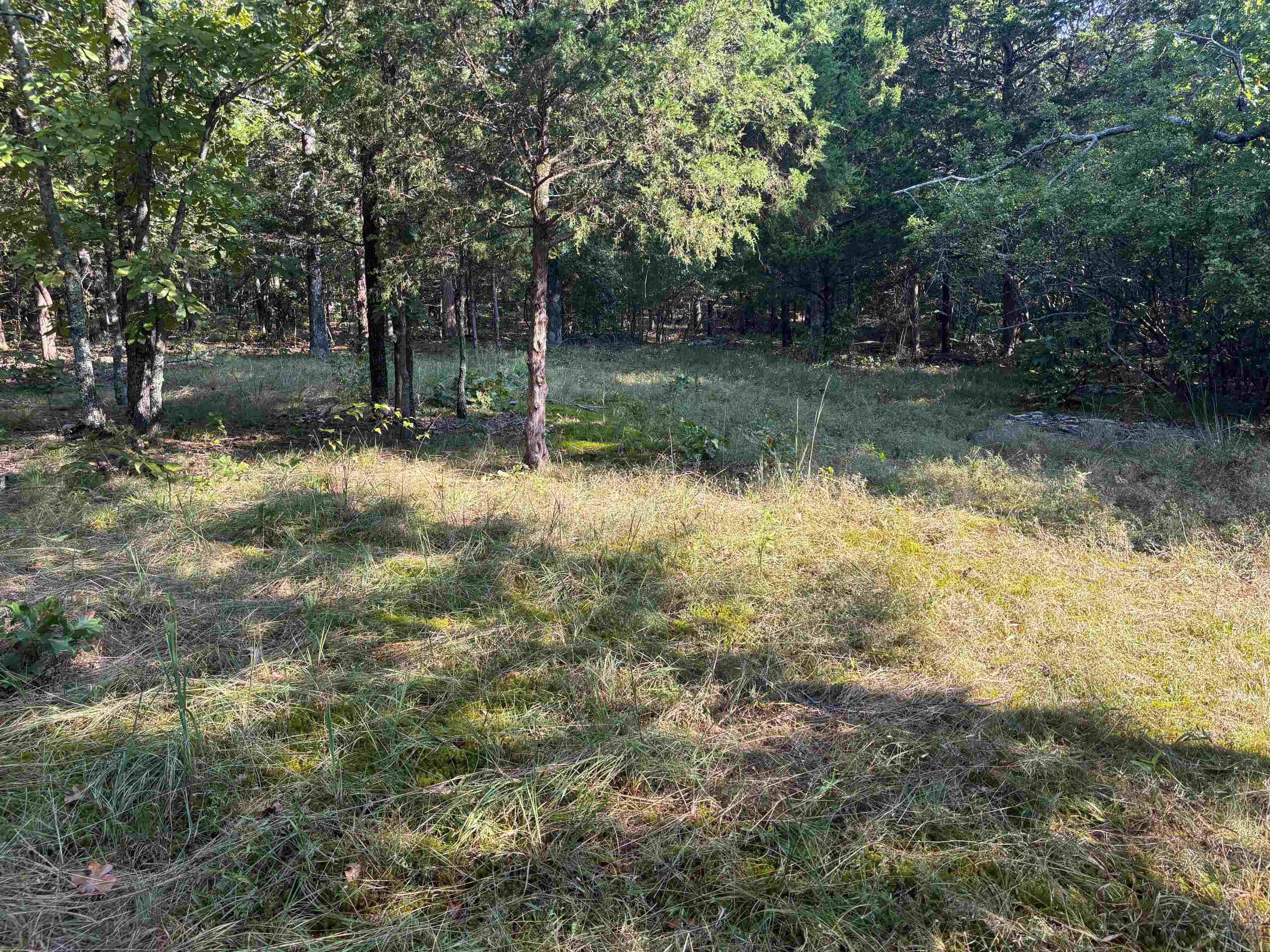 000 Jackson 5  Bradford, AR